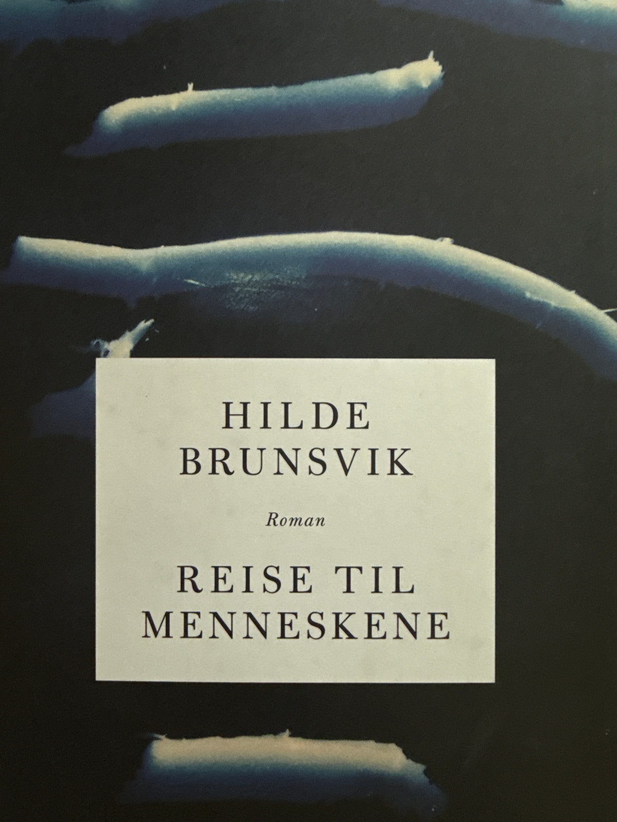 Reise til menneskene - Innbundet