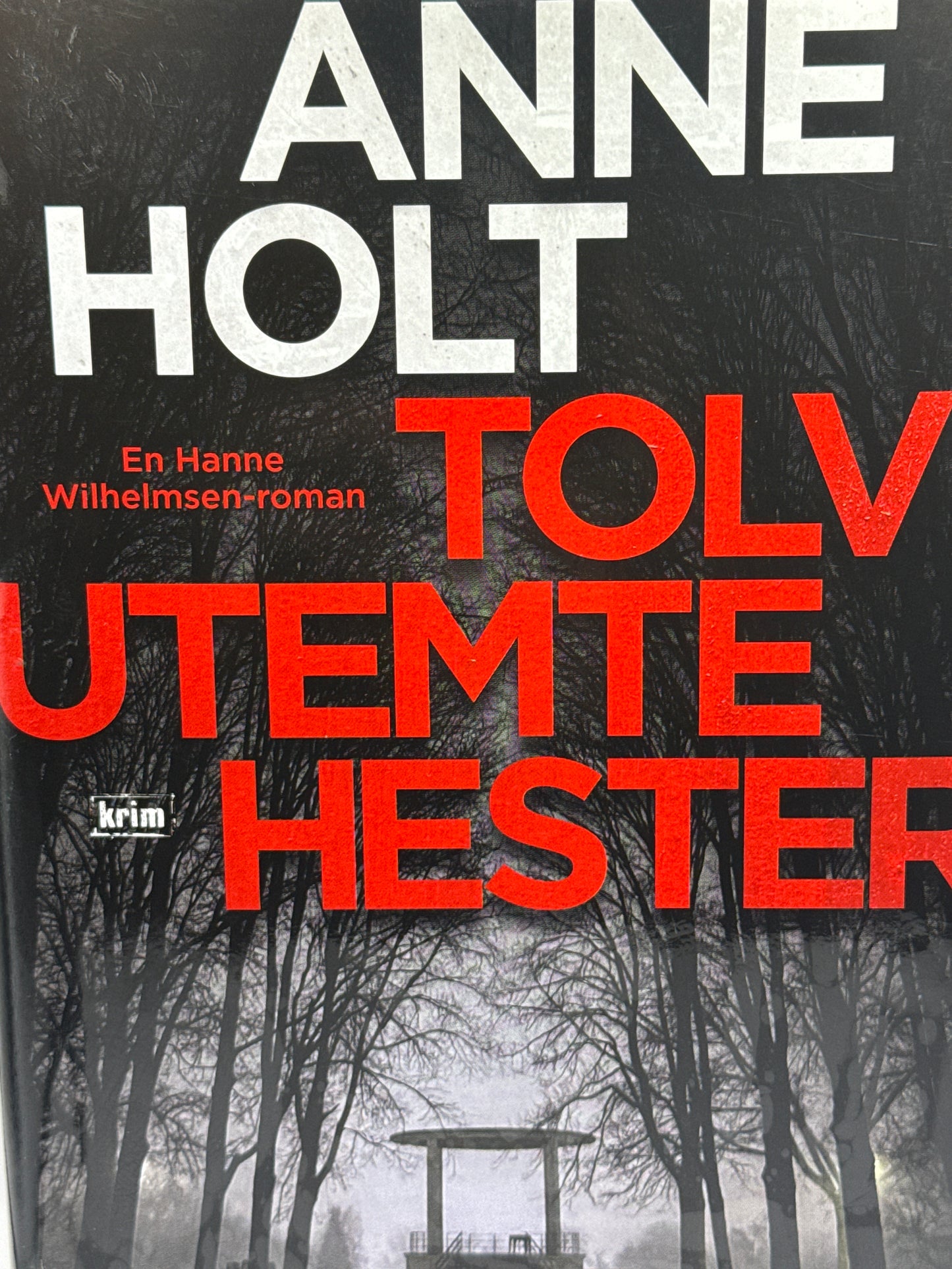 Tolv utemte hester - Innbundet