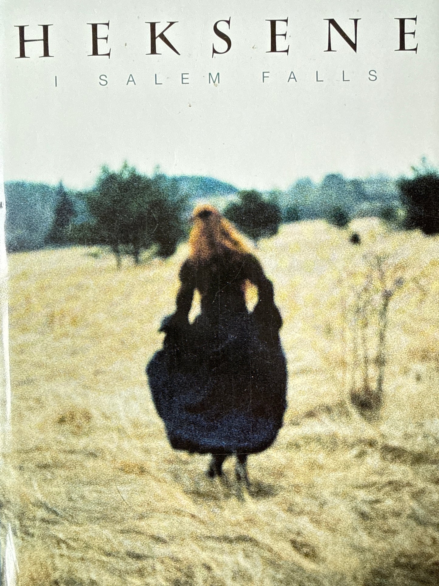 Heksene i Salem Falls - Innbundet