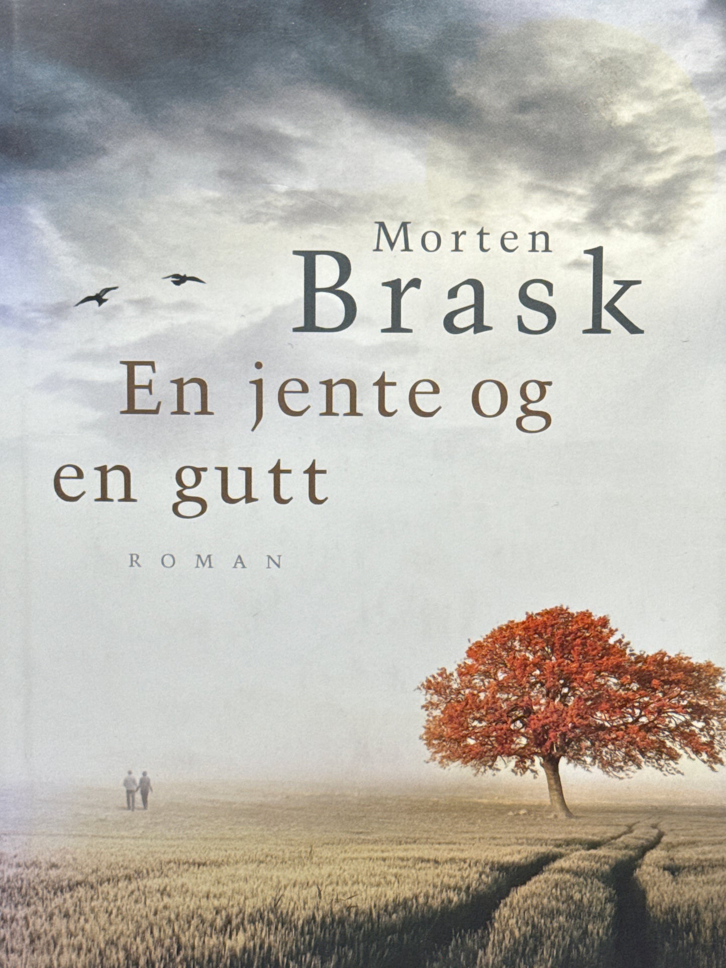 En jente og en gutt - Innbundet