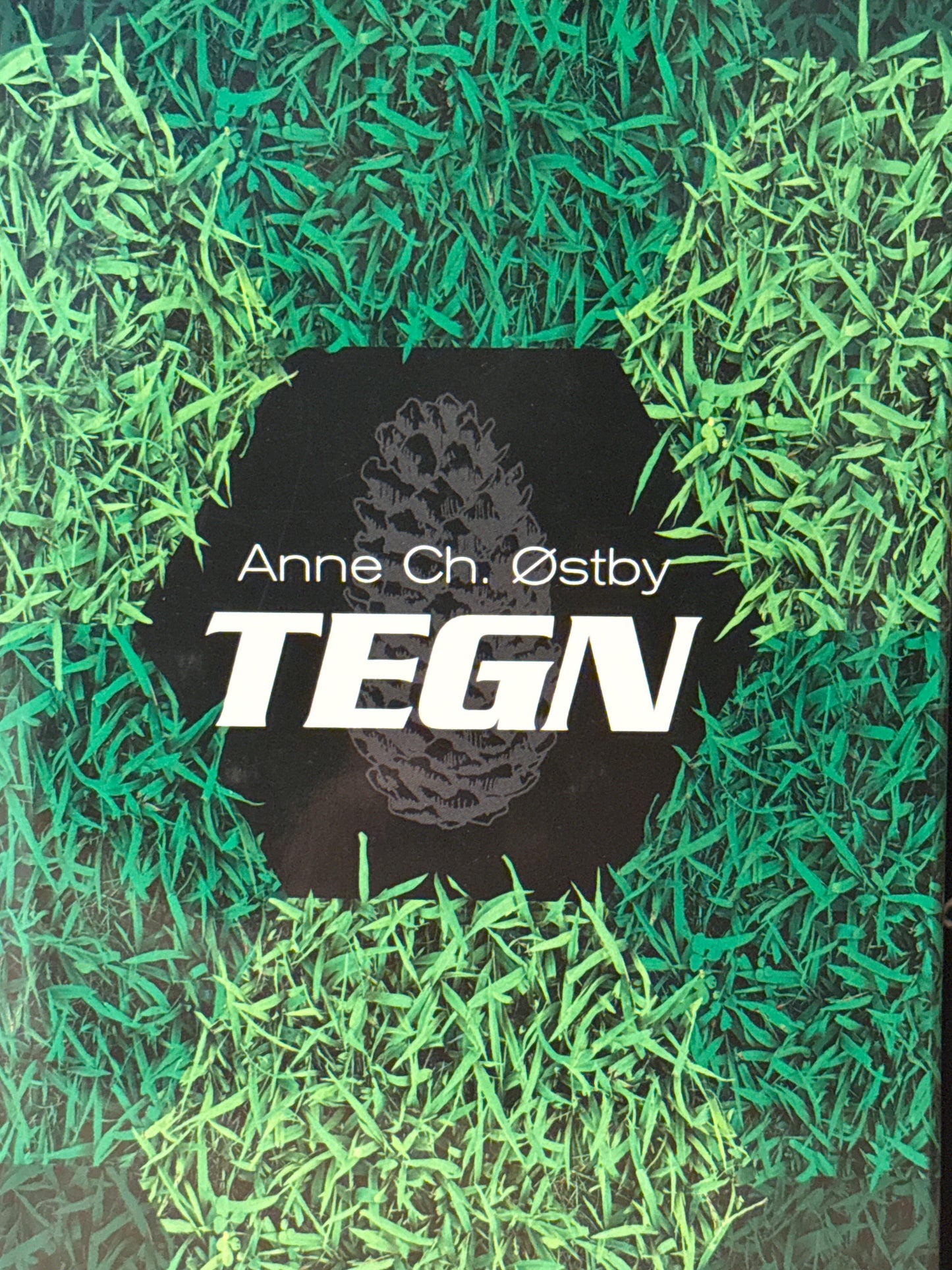 Tegn - Innbundet
