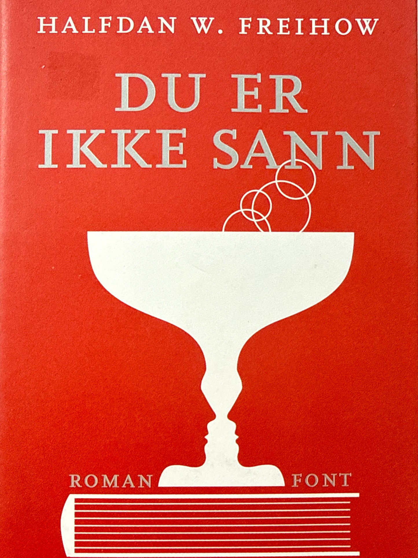 Du er ikke sann - Innbundet