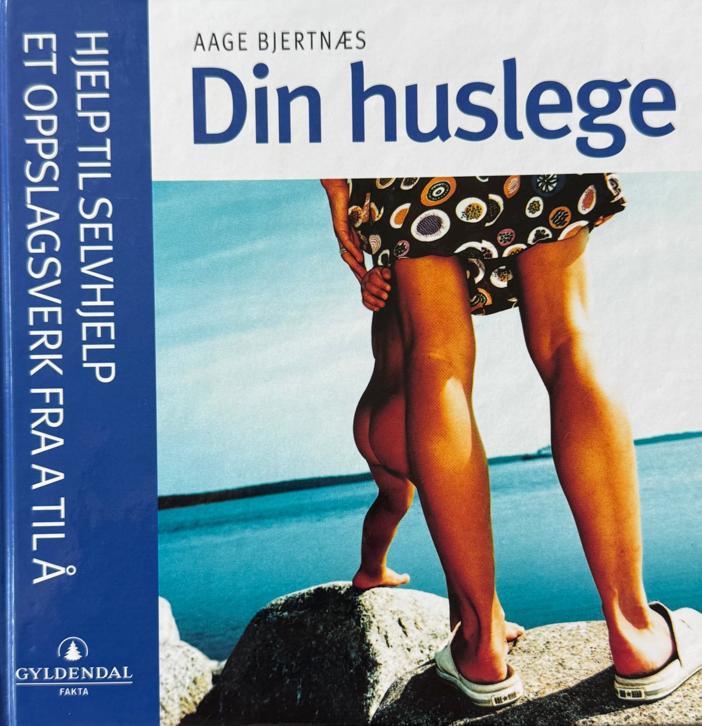 Din huslege - Innbundet
