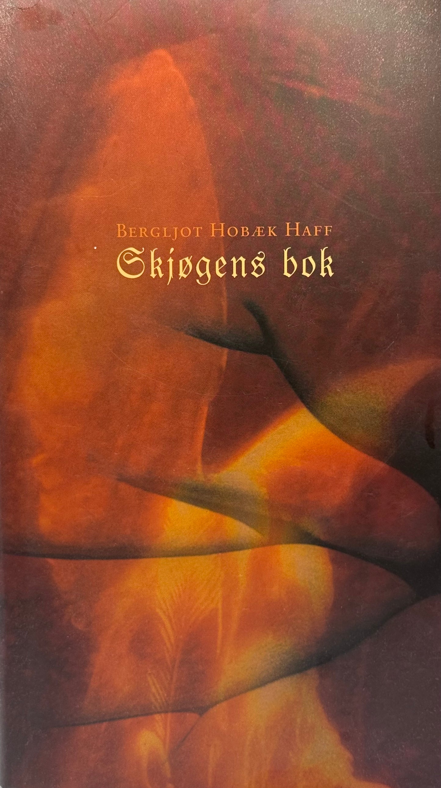 Skjøgens bok - Innbundet