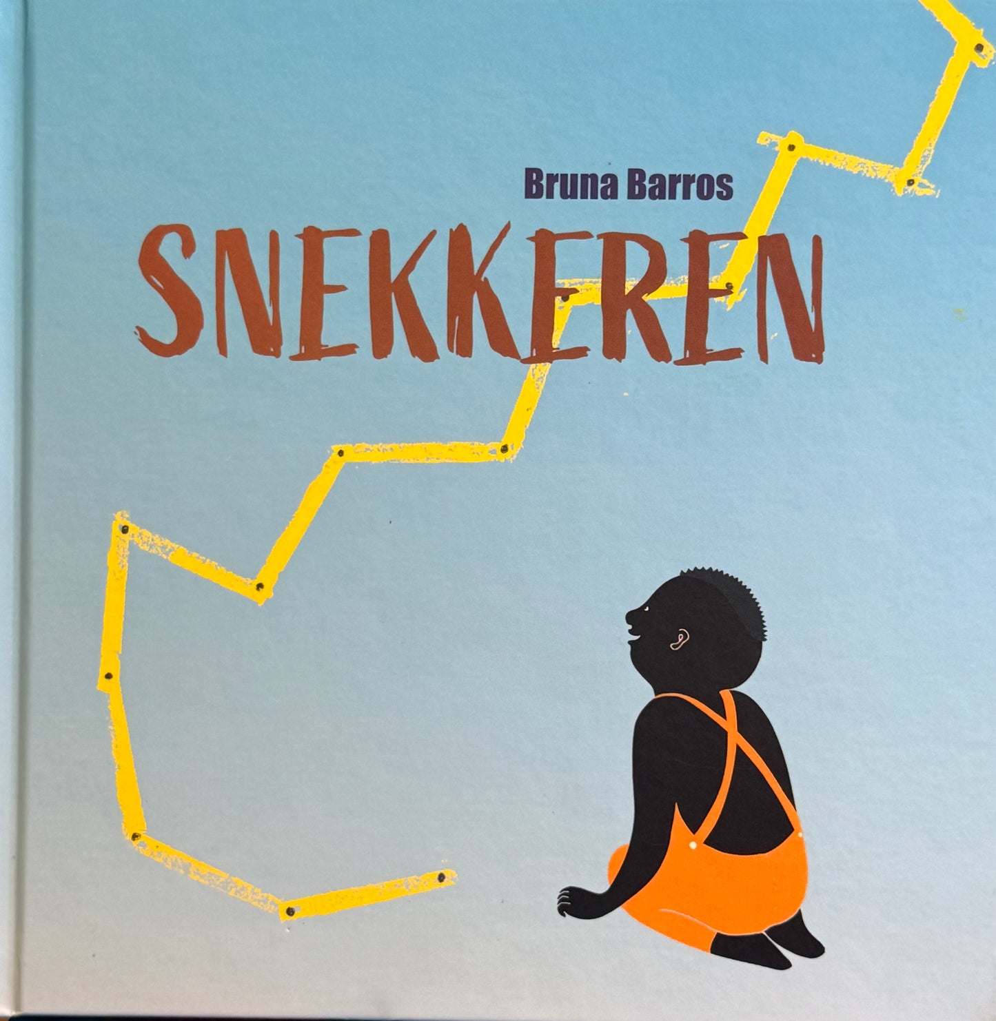 Snekkeren - Innbundet