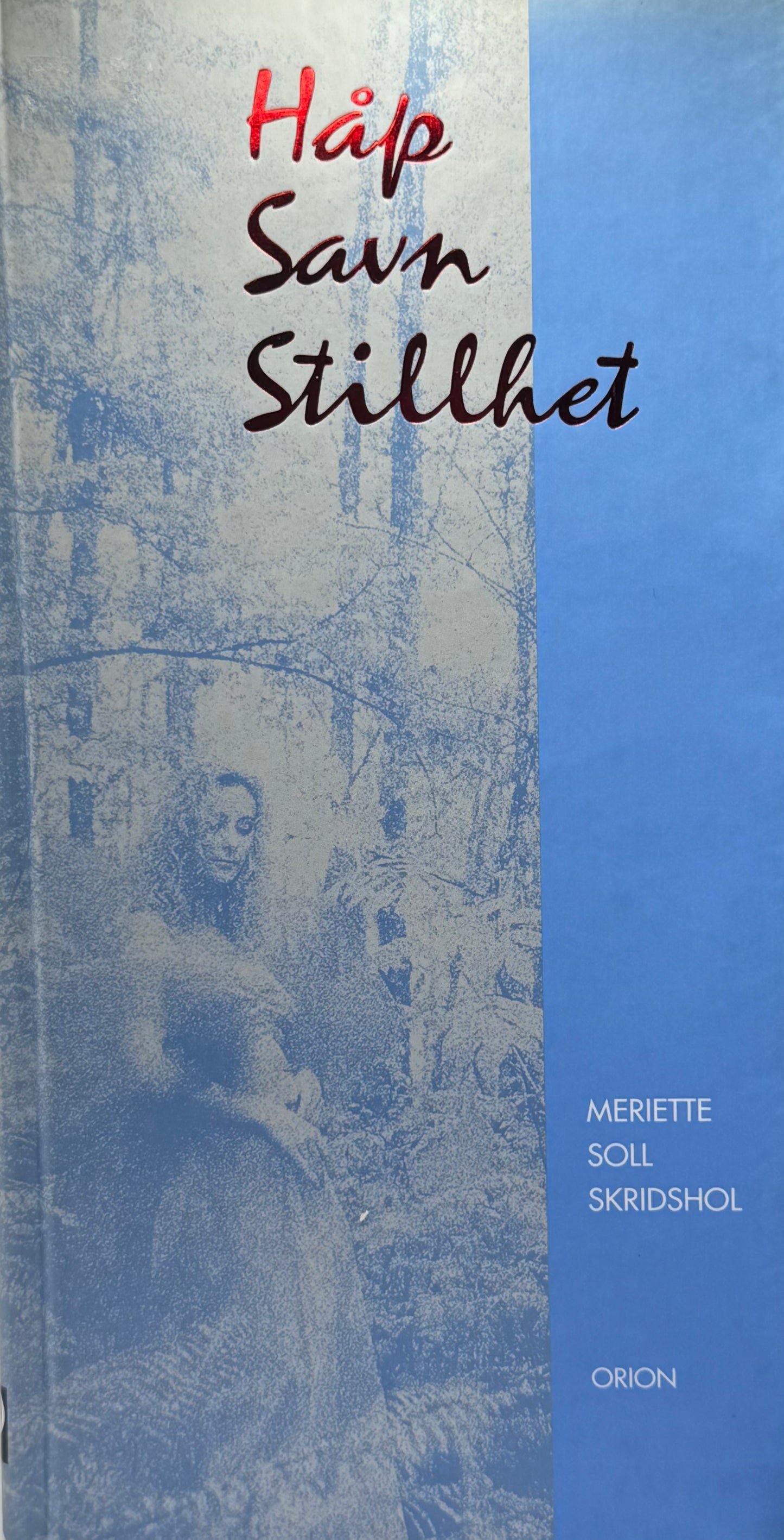 Håp, savn, stillhet - Innbundet