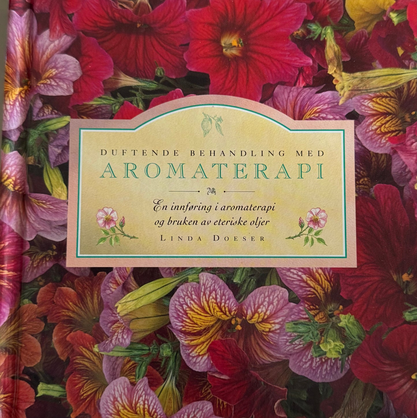 Duftende behandling med aromaterapi - Innbundet