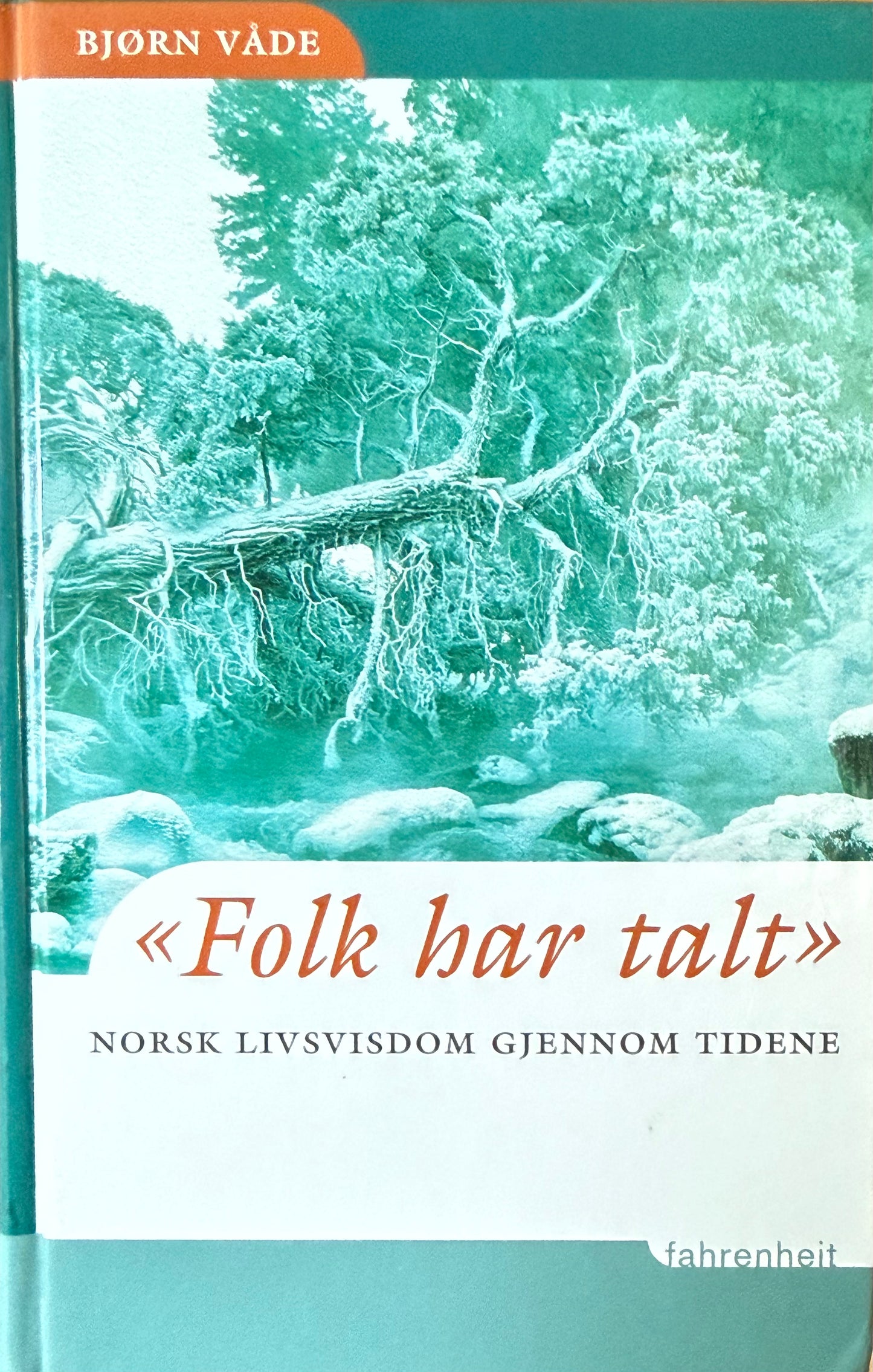 Folk har falt - Innbundet