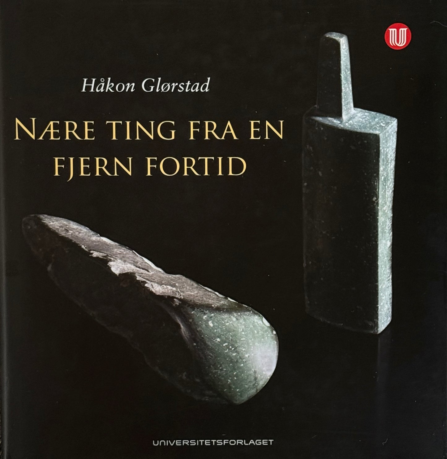 Nære ting fra en fjern fortid - samfunnsliv i steinalderen for 7600 år siden - Innbundet
