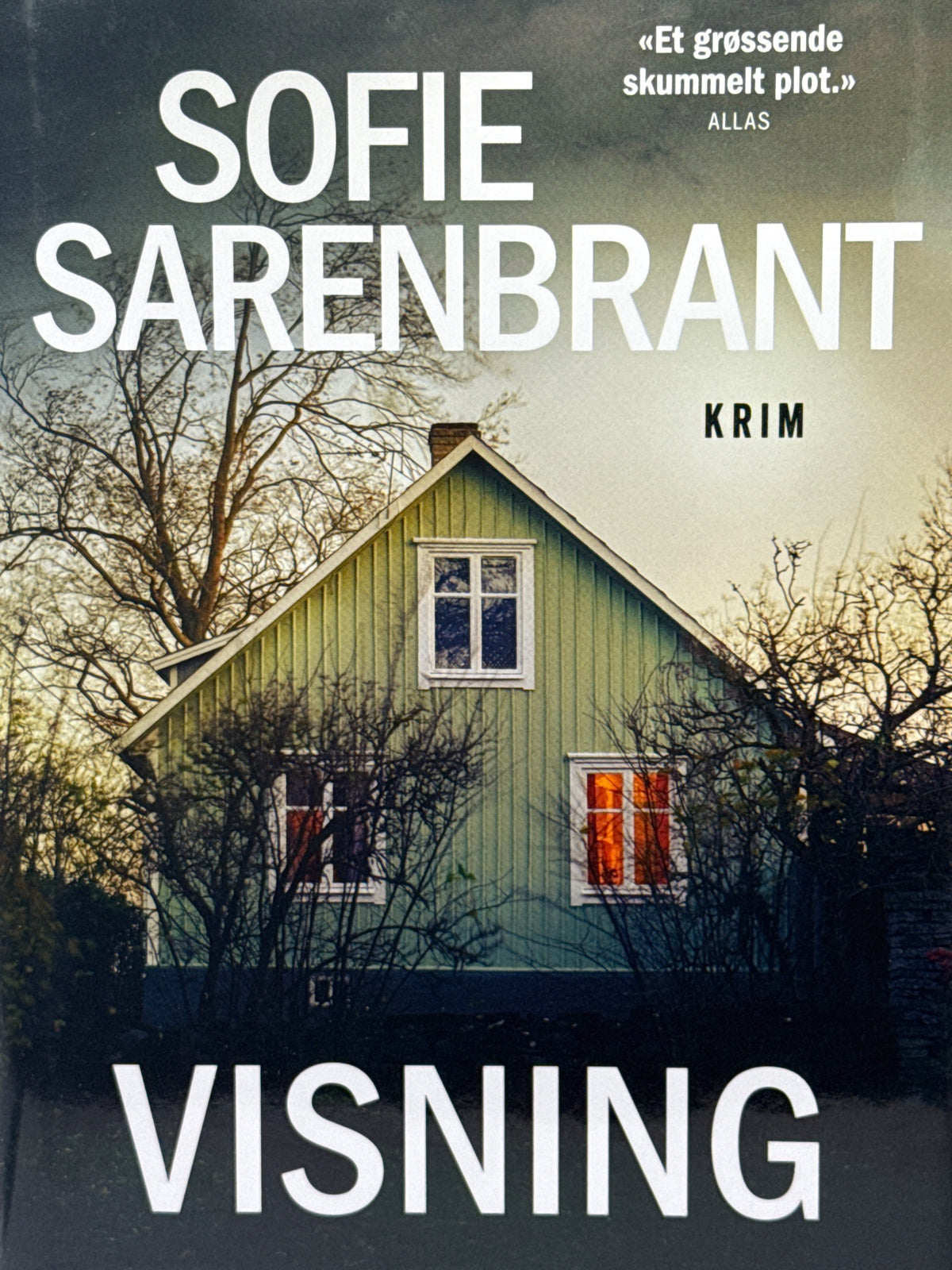 Forside av Visning av Sofie Sarenbrant