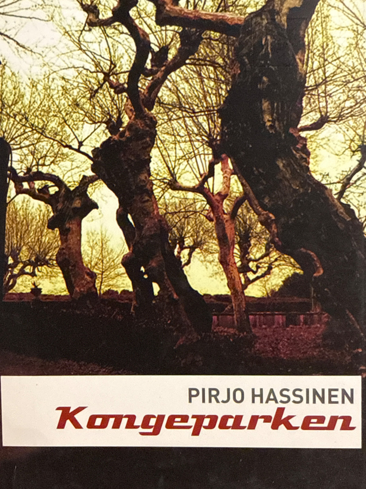 Forside av Kongeparken av Pirjo Hassinen