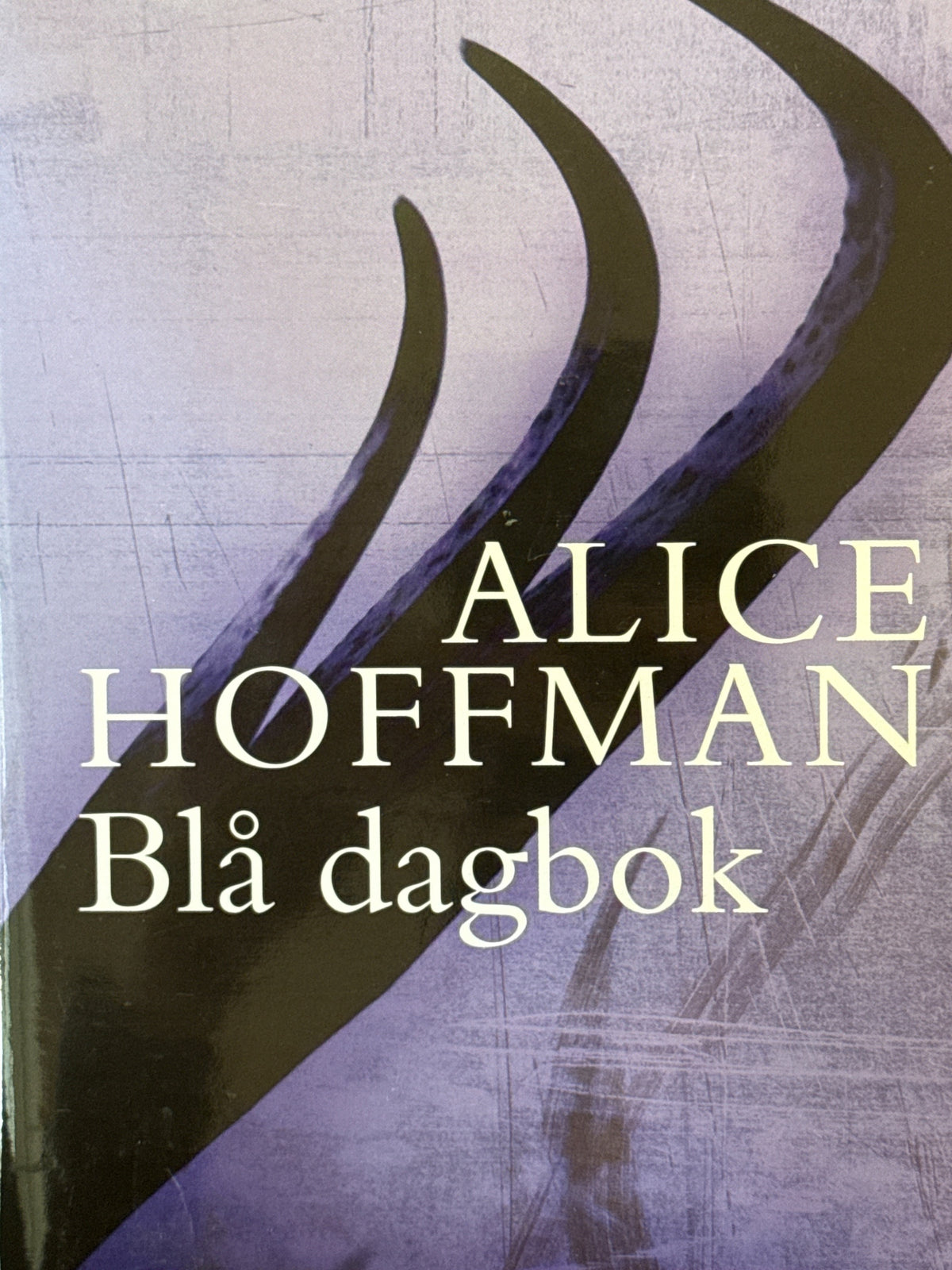 Forside av Blå dagbok av Alice Hoffman