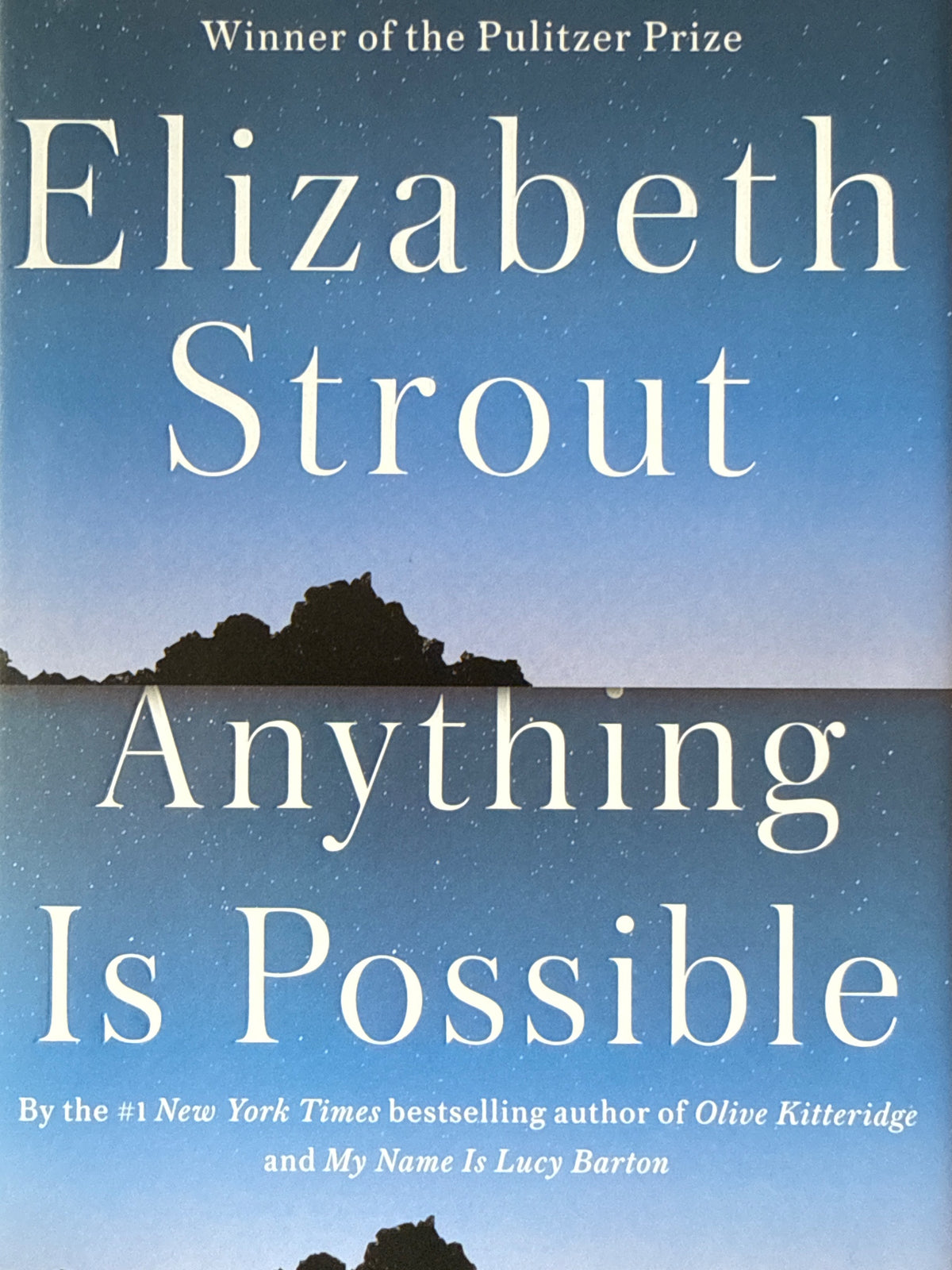 Forside av Anything Is Possible av Elizabeth Strout