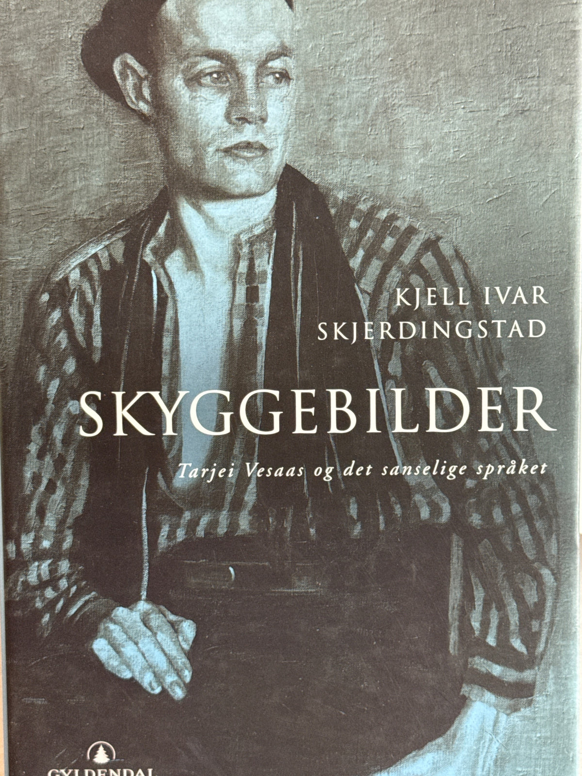 Forside av Skyggebilder av Kjell Ivar Skjerdingstad