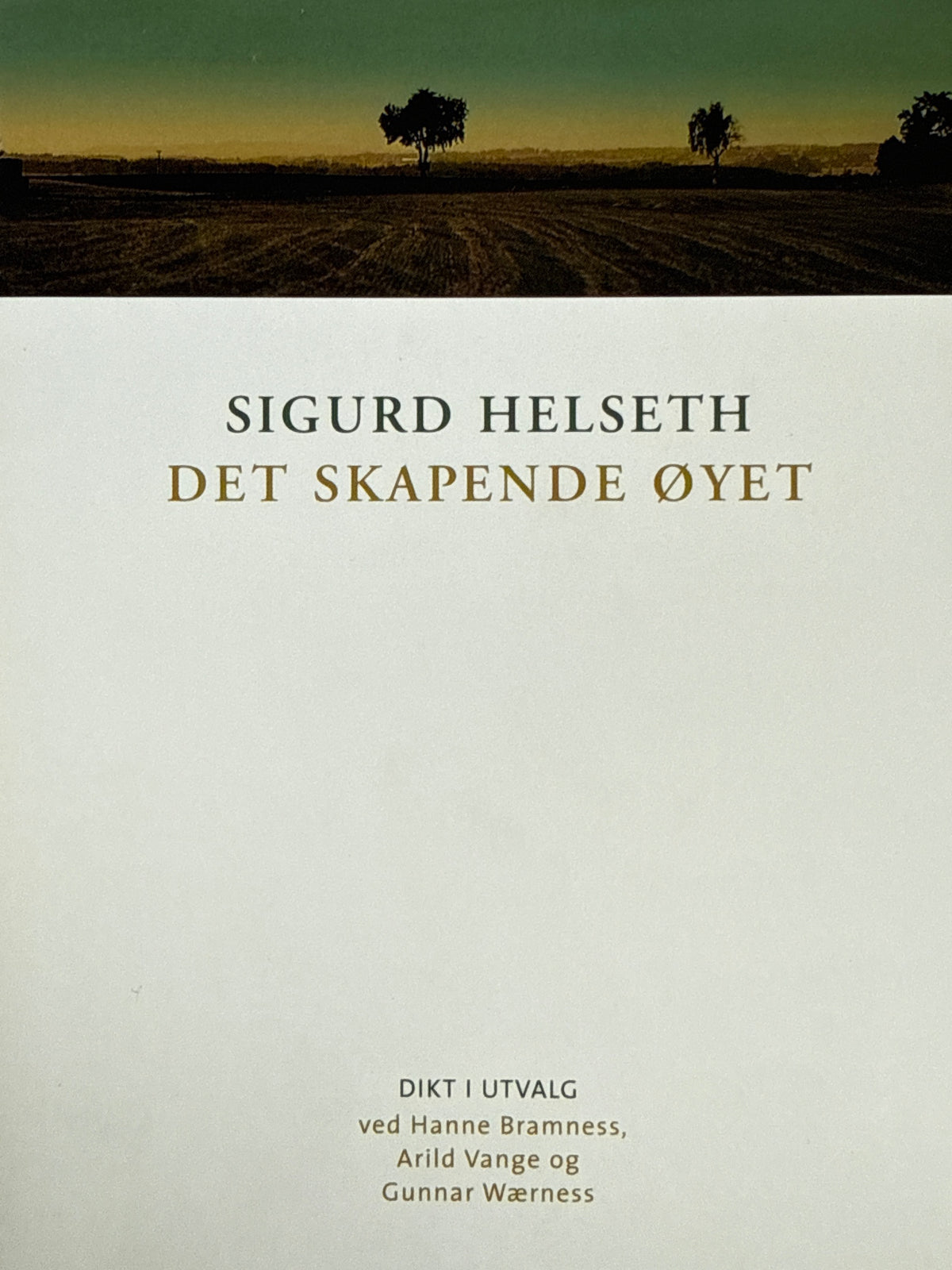 Forside av Det skapende øyet av Sigurd Helseth