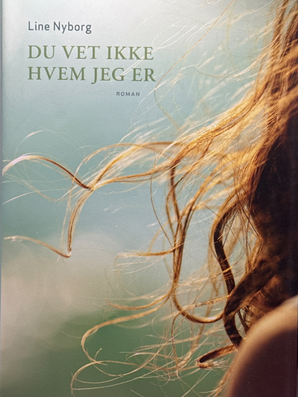 Forside av Du vet ikke hvem jeg er av Line Nyborg