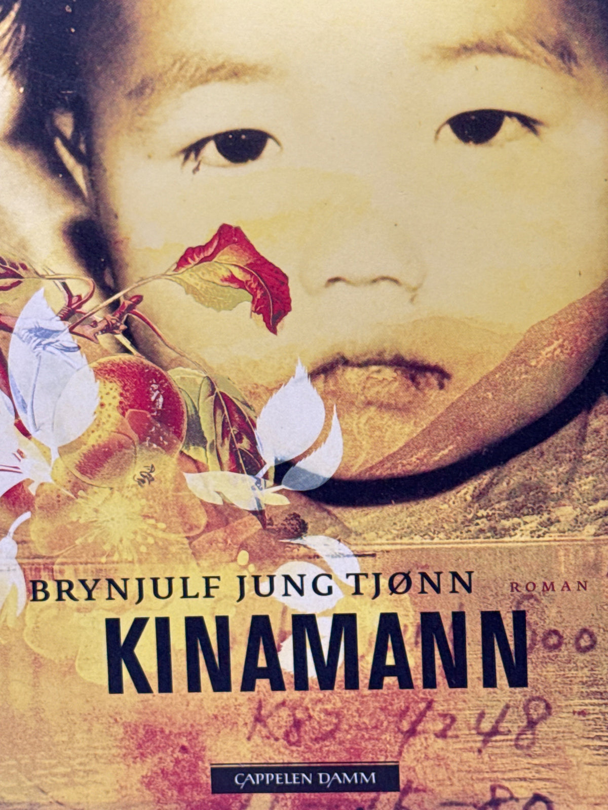 Forside av Kinamann av Brynjulf Jung Tjønn