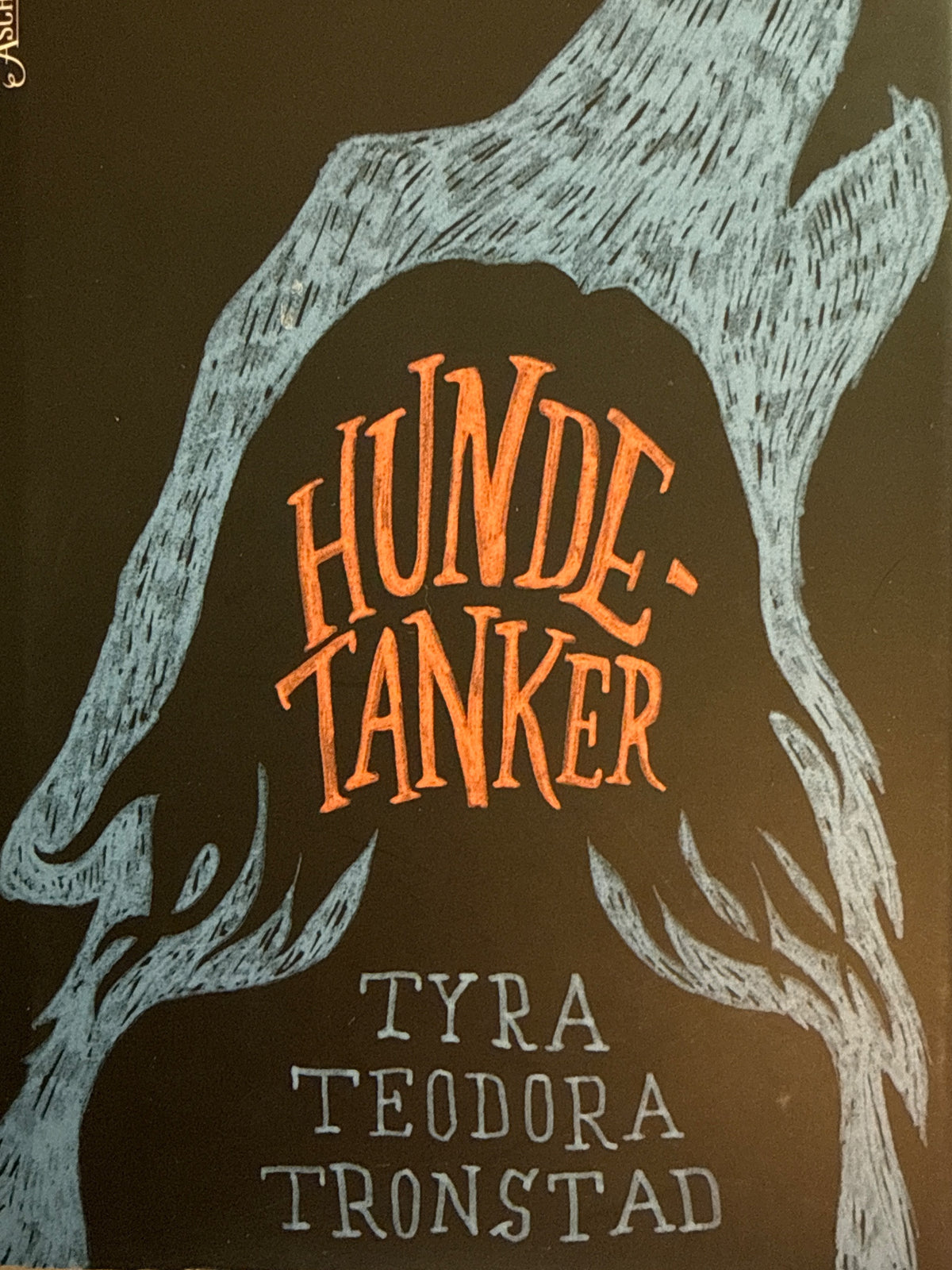 Forside av Hunde-tanker av Tyra Teodora Tronstad