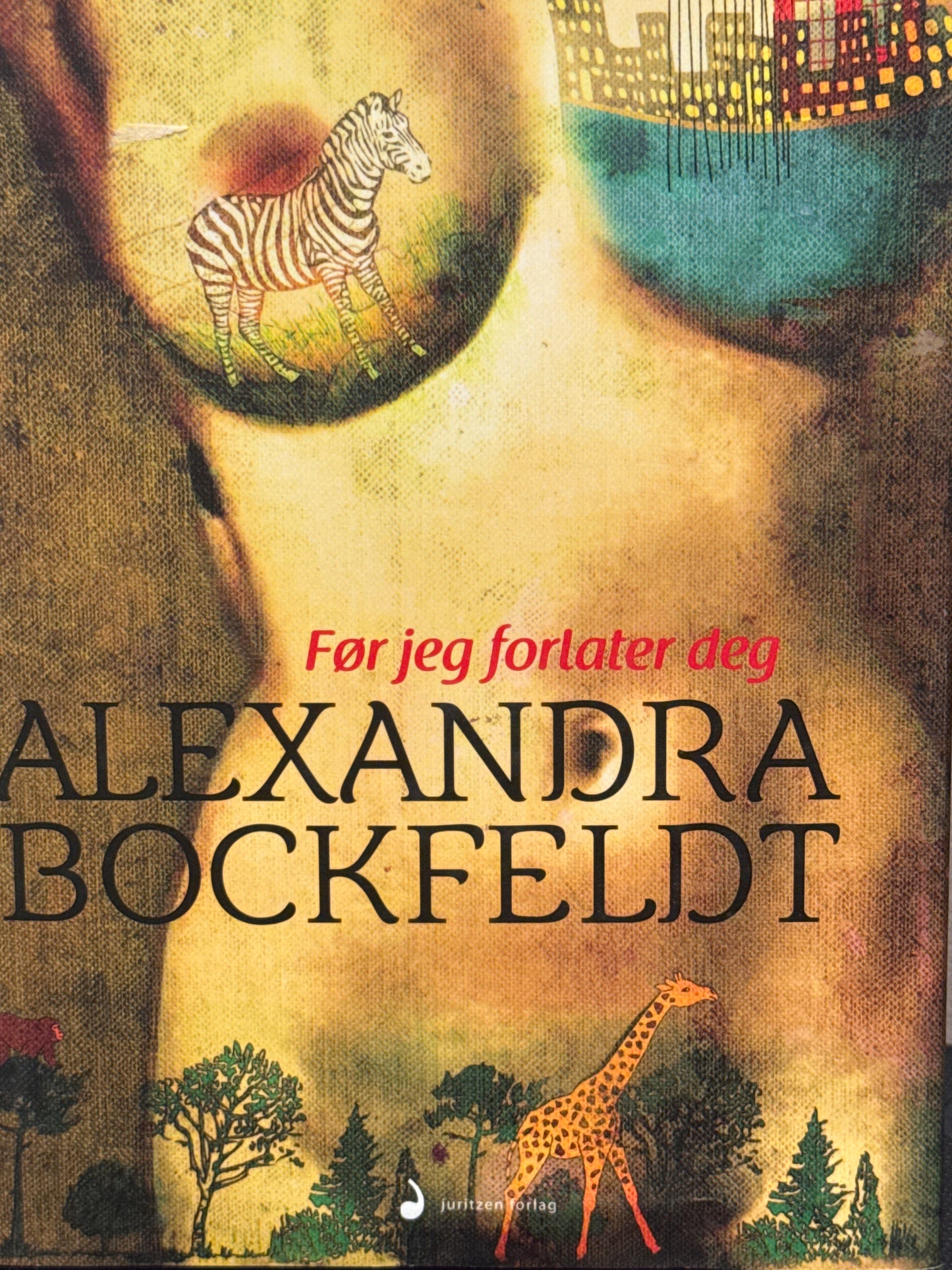 Før jeg forlater deg - Innbundet