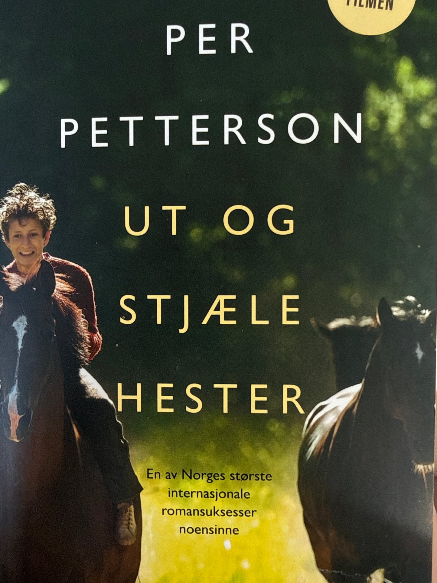 Ut og stjæle hester - Pocket
