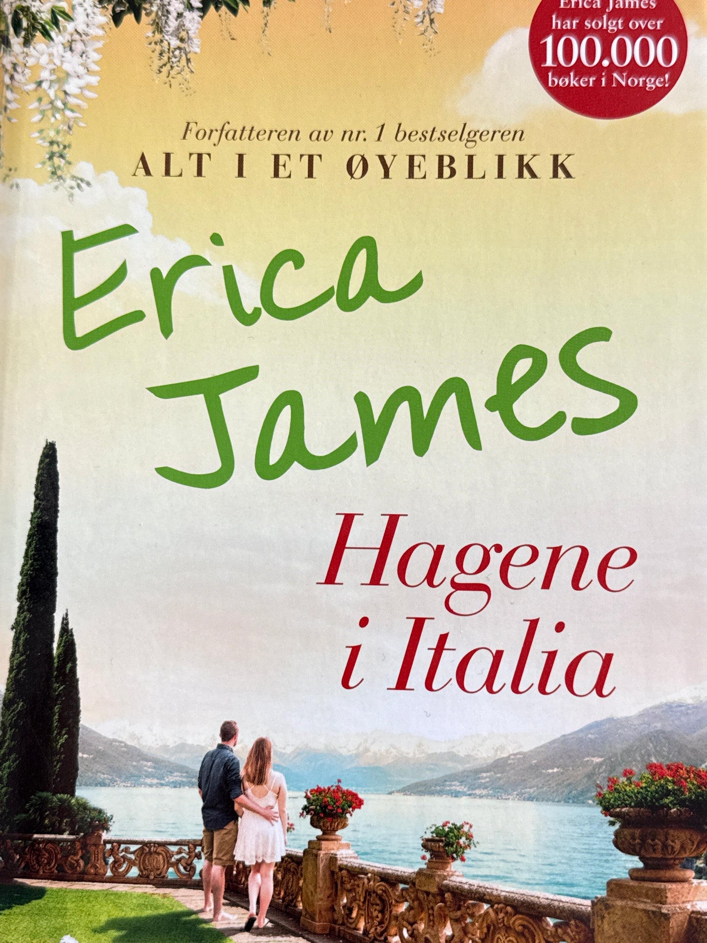 Hagene i Italia - Innbundet