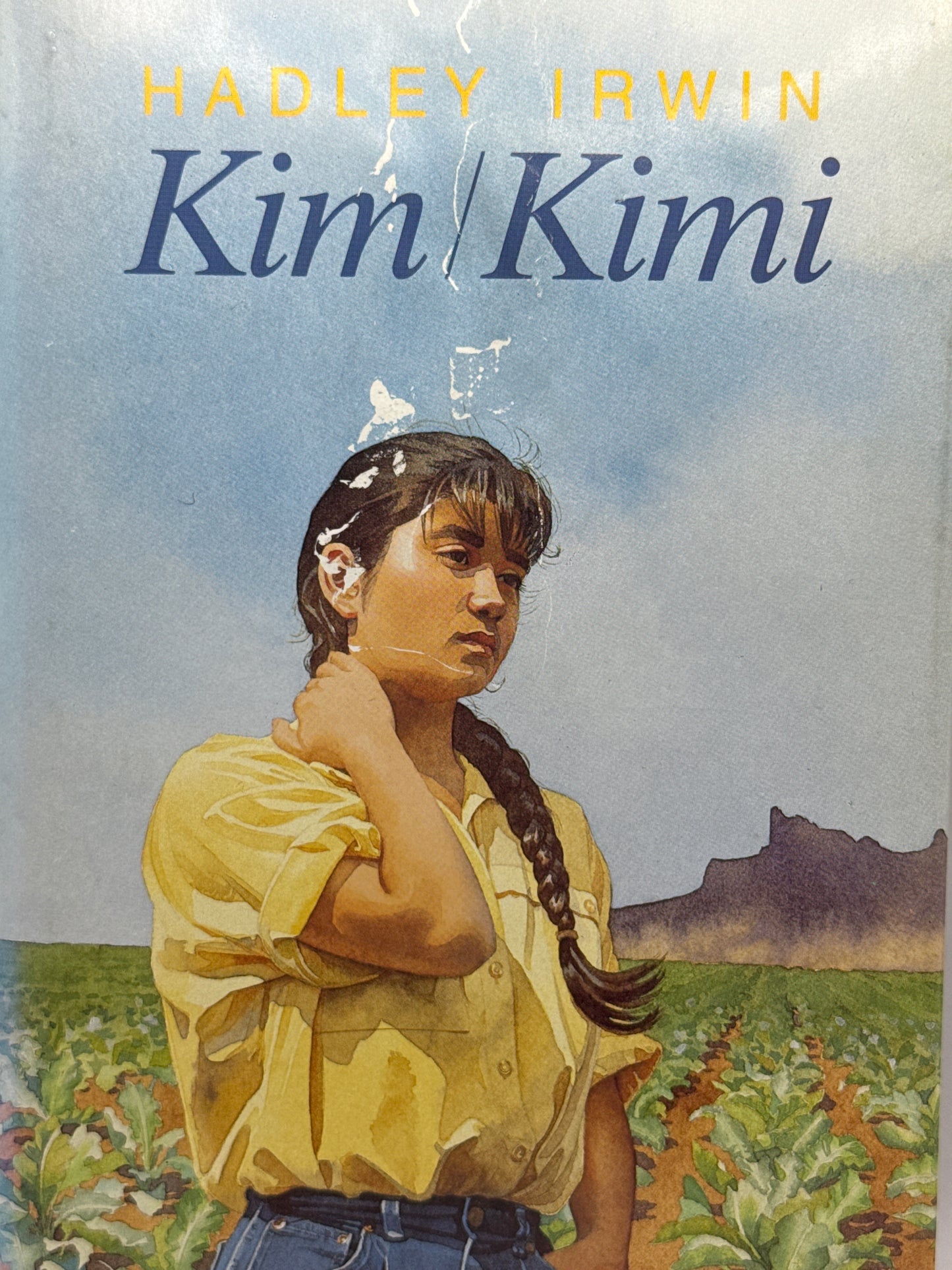 Kim/Kimi - Innbundet
