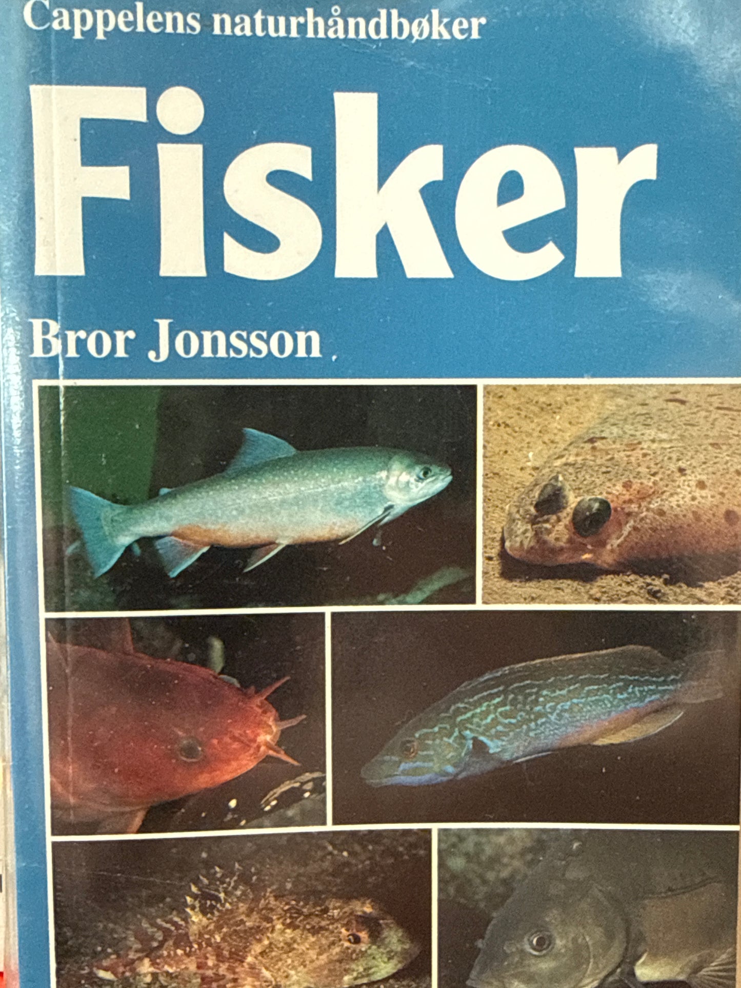 Fisker - Pocket