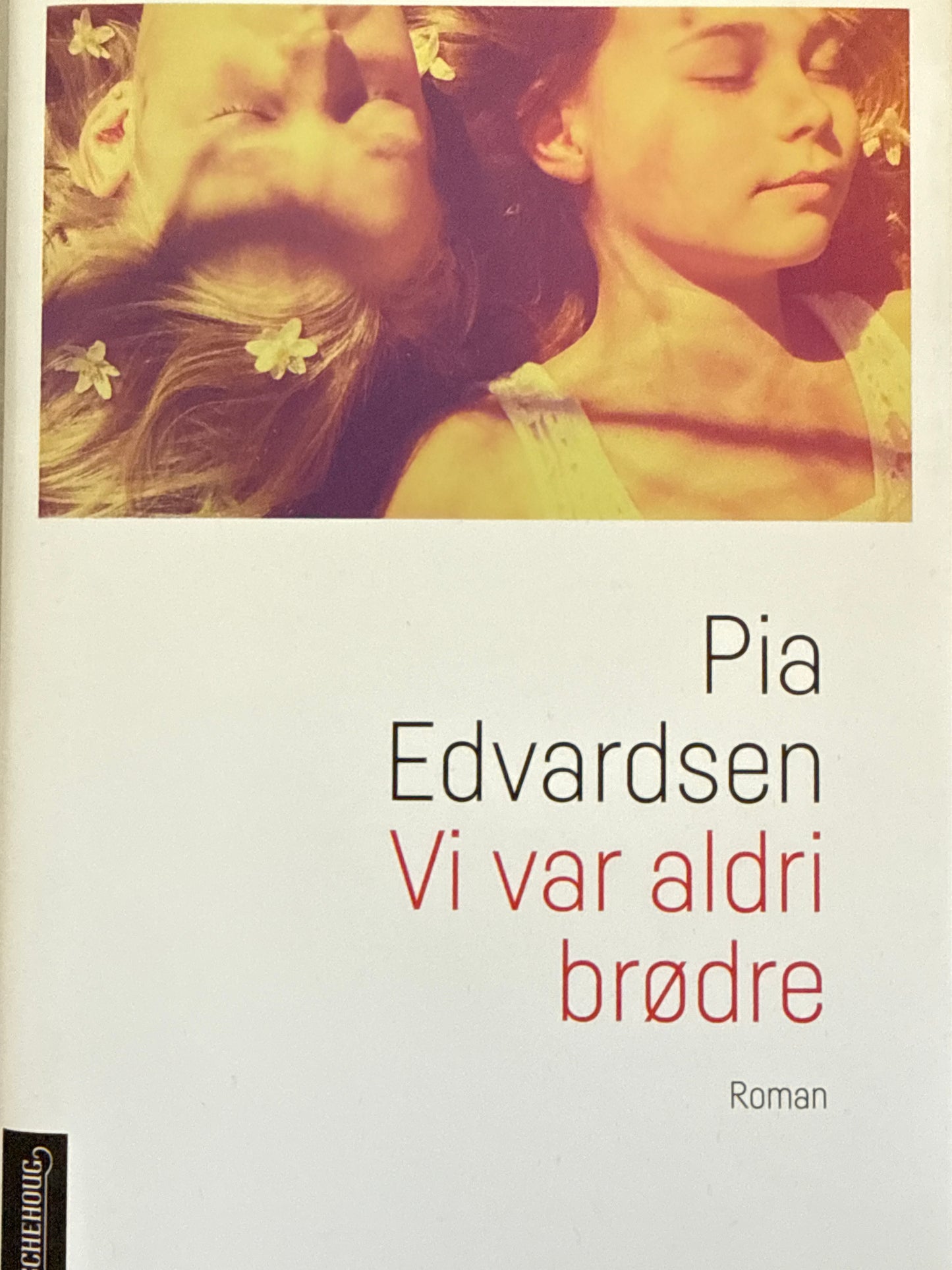 Vi var aldri brødre - Innbundet