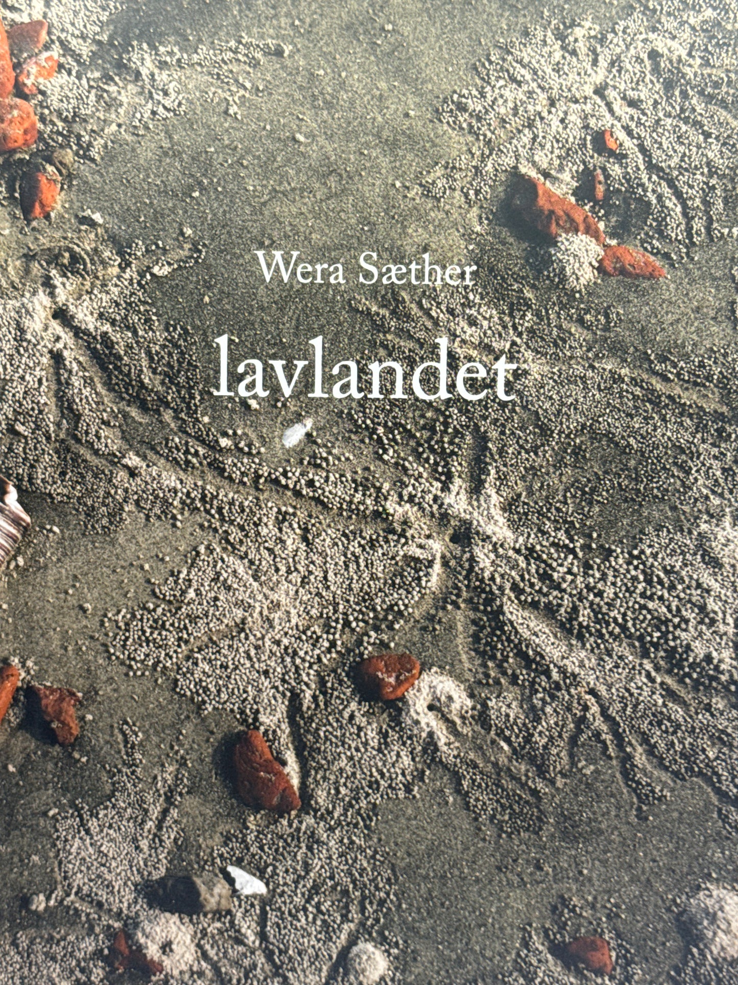 Lavlandet - Innbundet