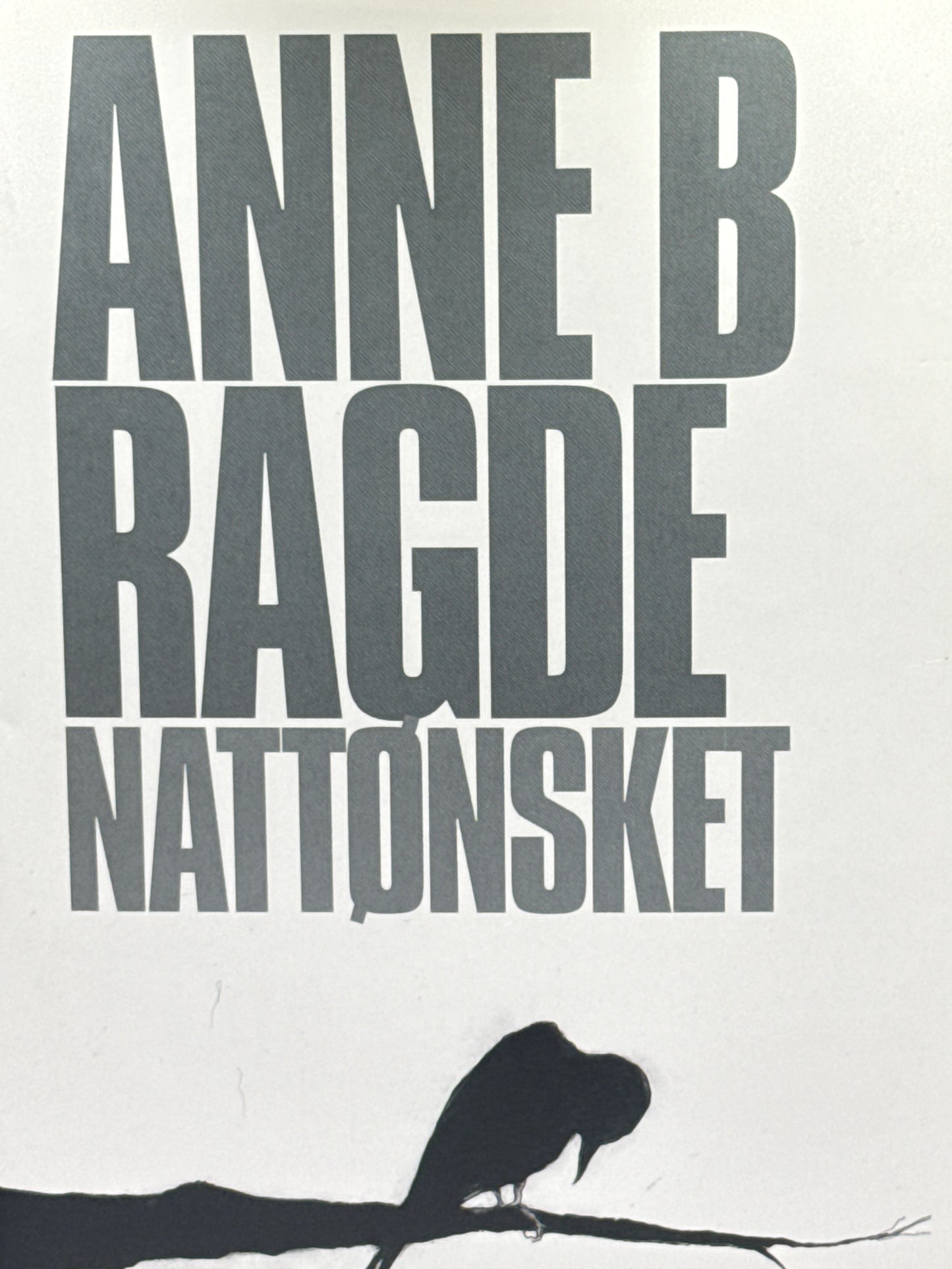 Nattønsket - Innbundet