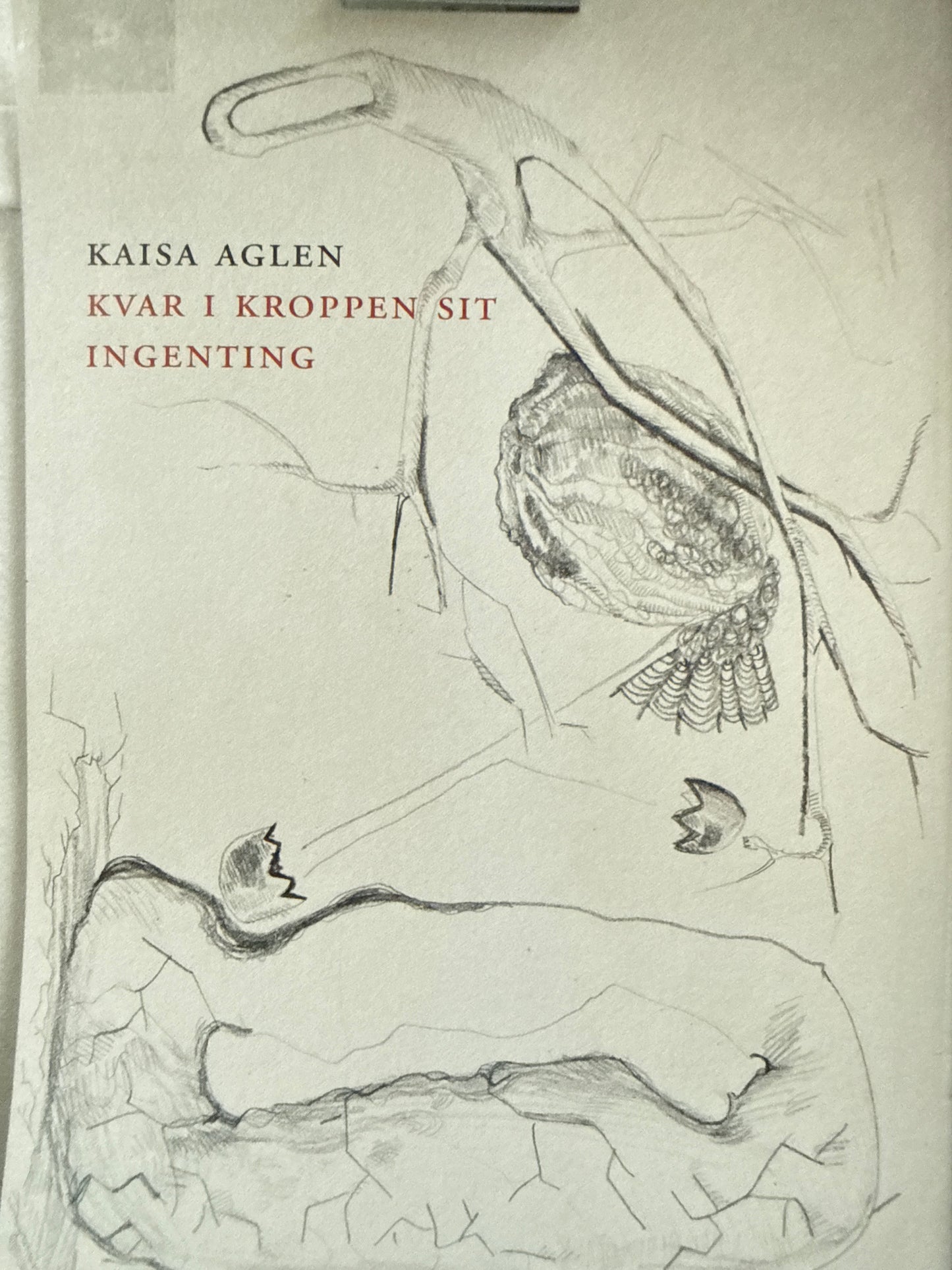 Kvar i kroppen sit ingenting - Innbundet