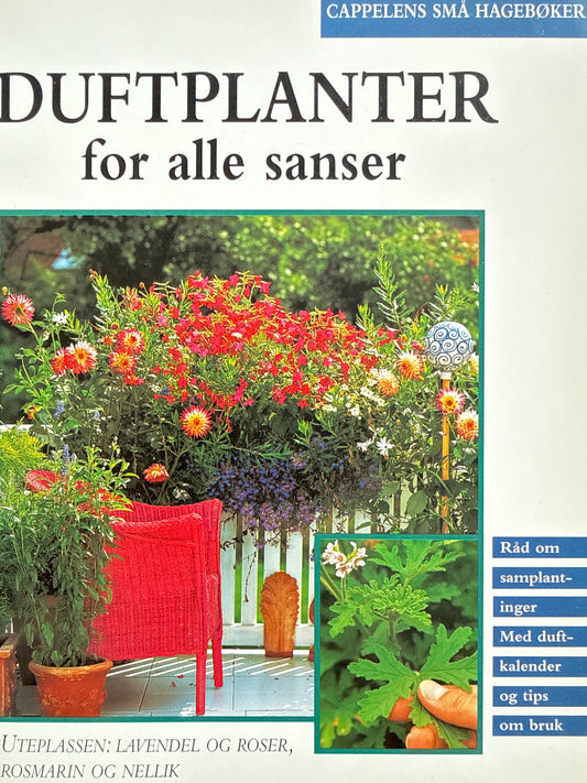 Duftplanter for alle sanser - Pocket