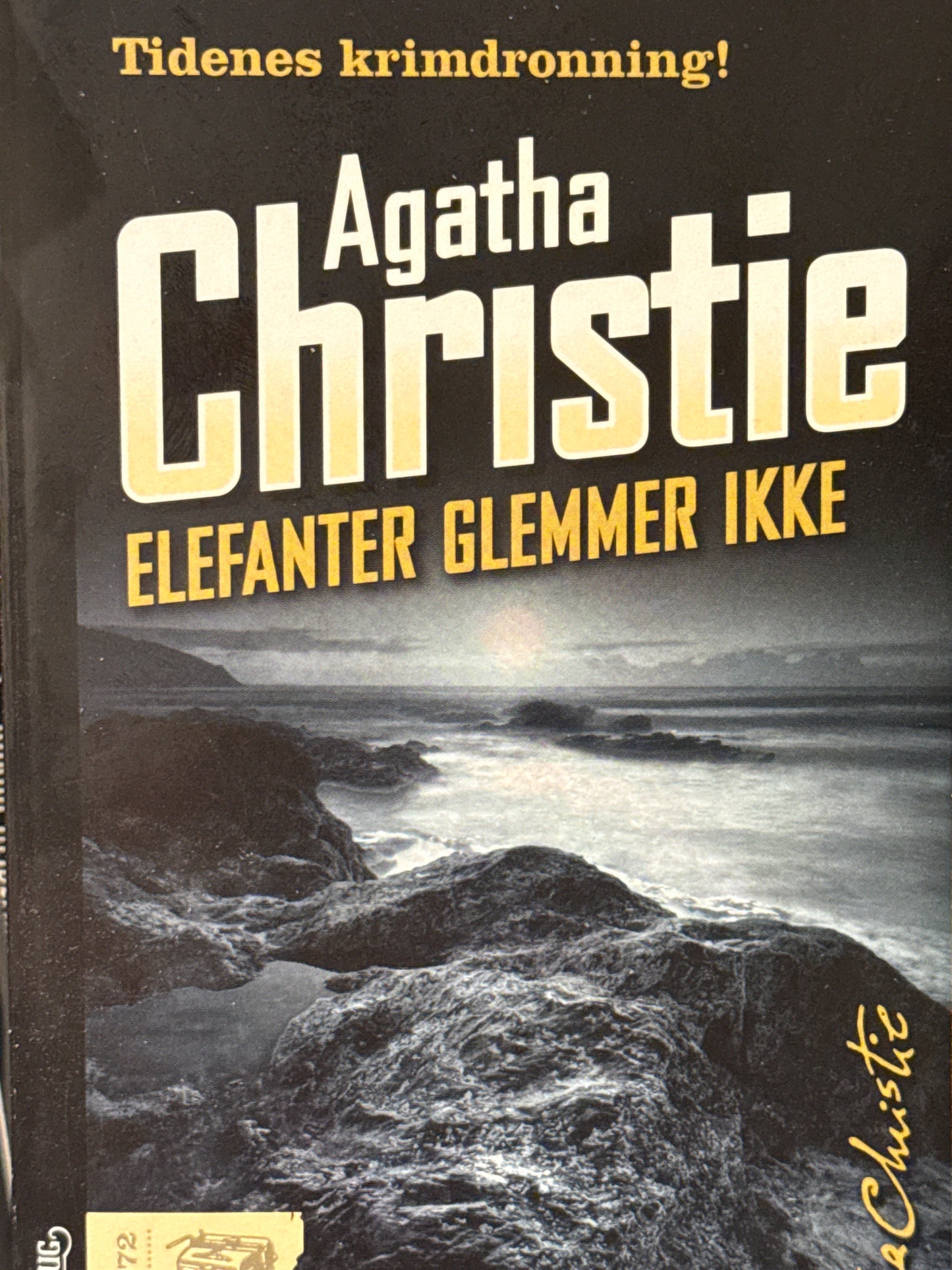 Elefanter glemmer ikke - Pocket
