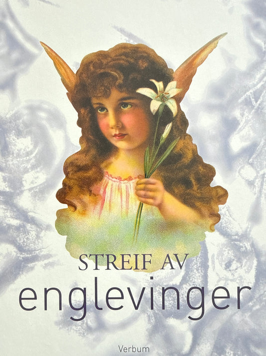 Streif av englevinger - Innbundet