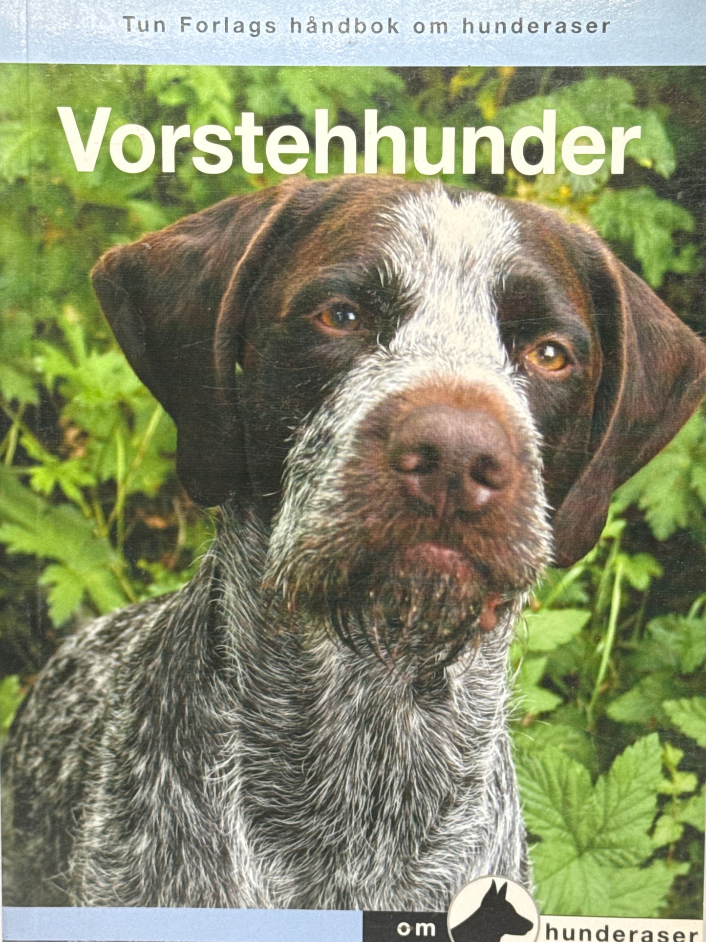 Vorstehhunder - Pocket