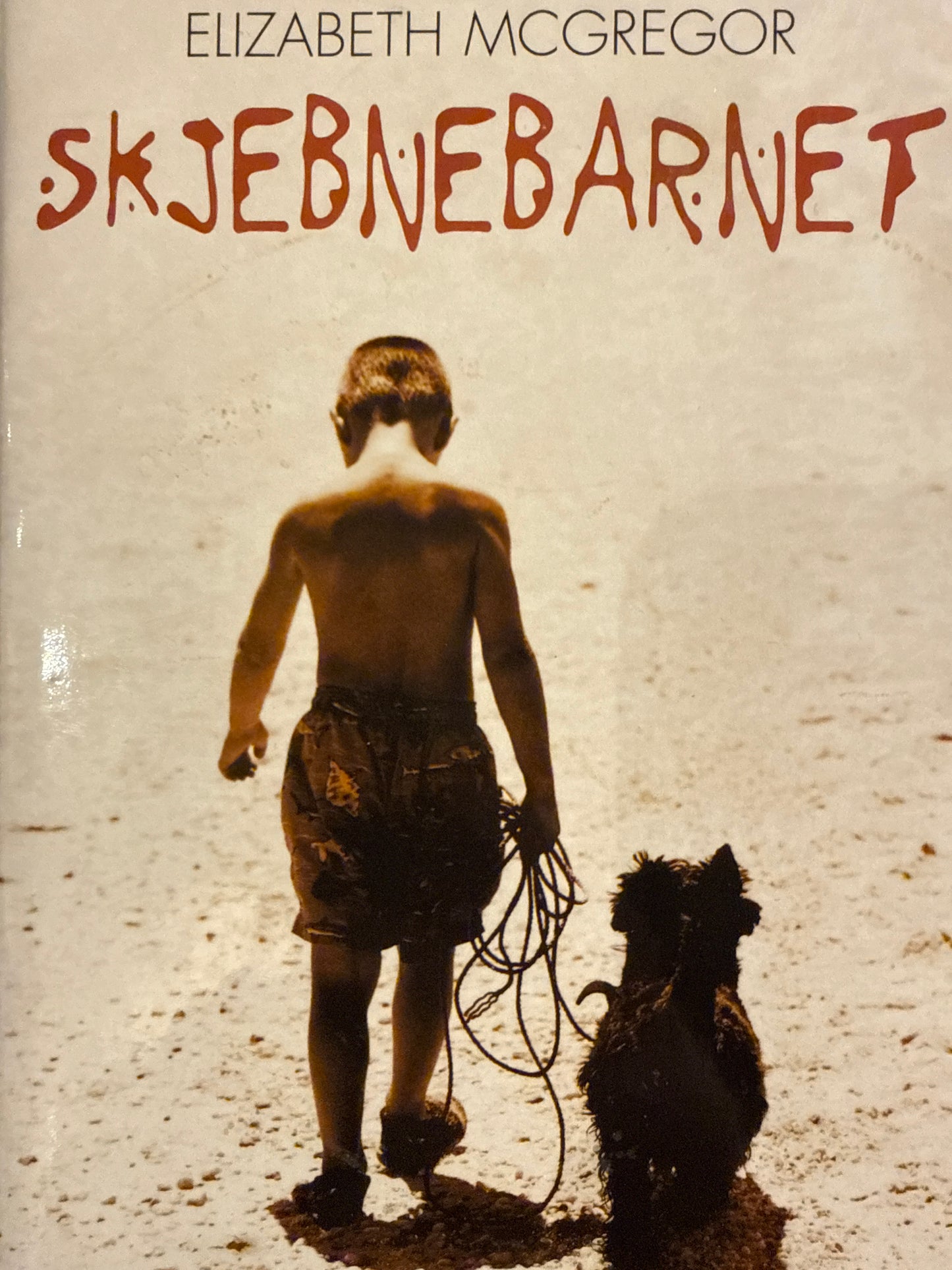 Skjebnebarnet - Innbundet