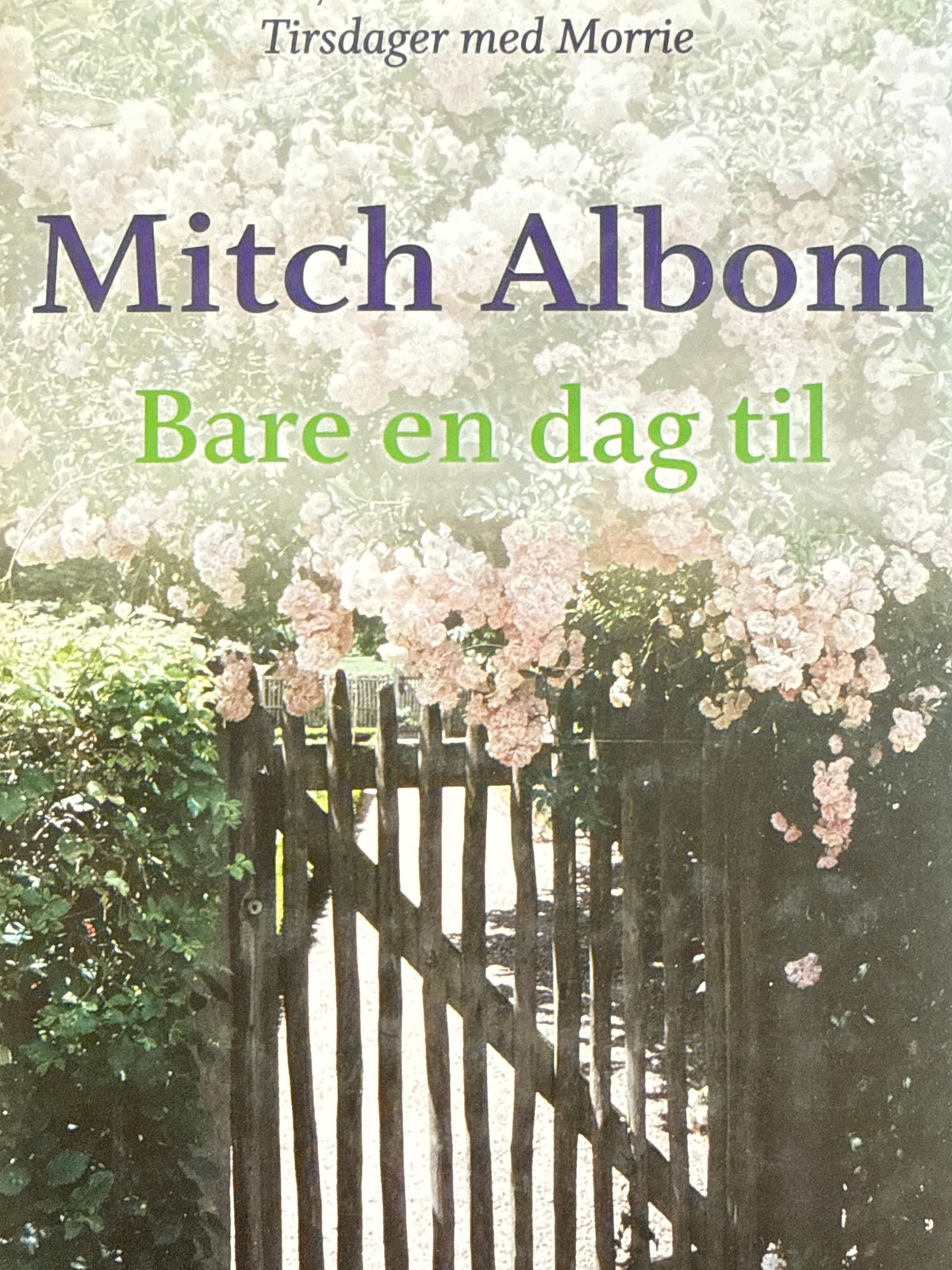 Bare en dag til - Innbundet