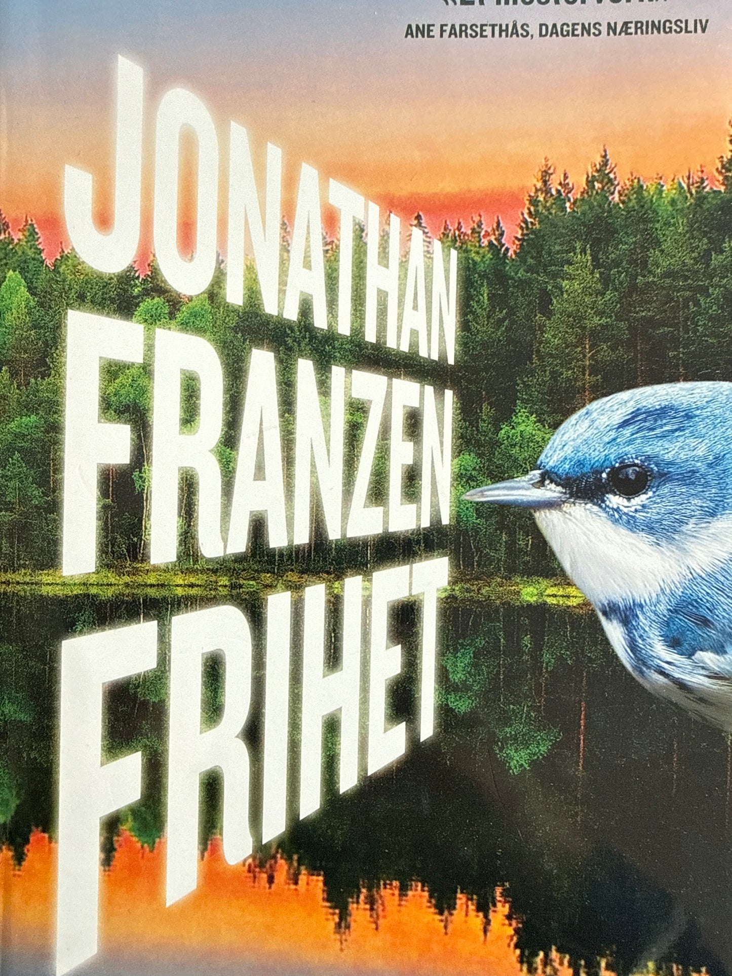 Frihet - Innbundet