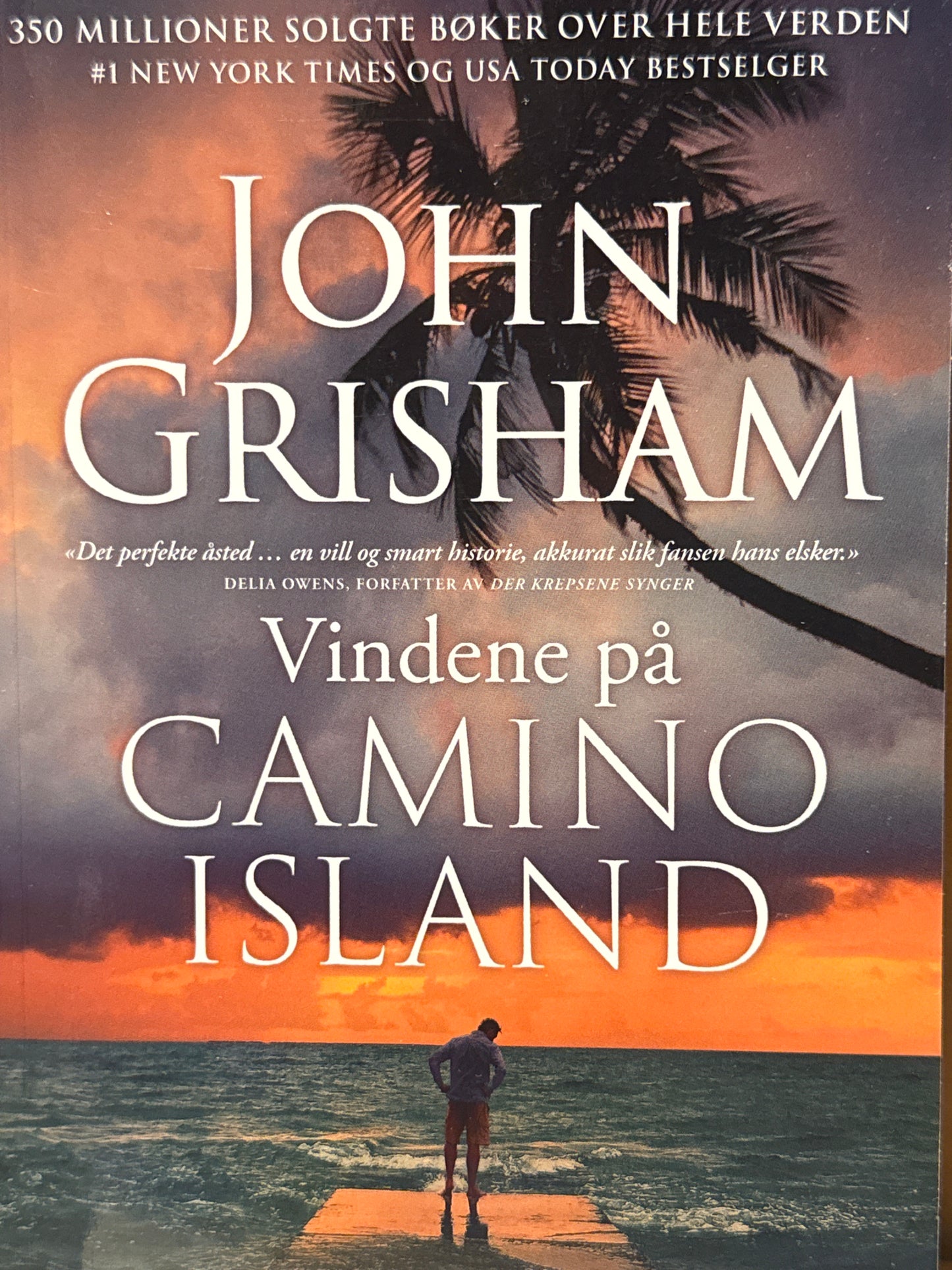 Vindene på Camino Island  - Pocket