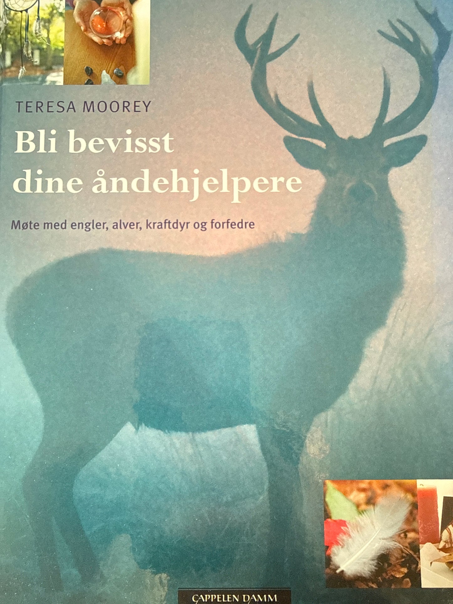 Bli bevisst dine åndehjelpere - Innbundet