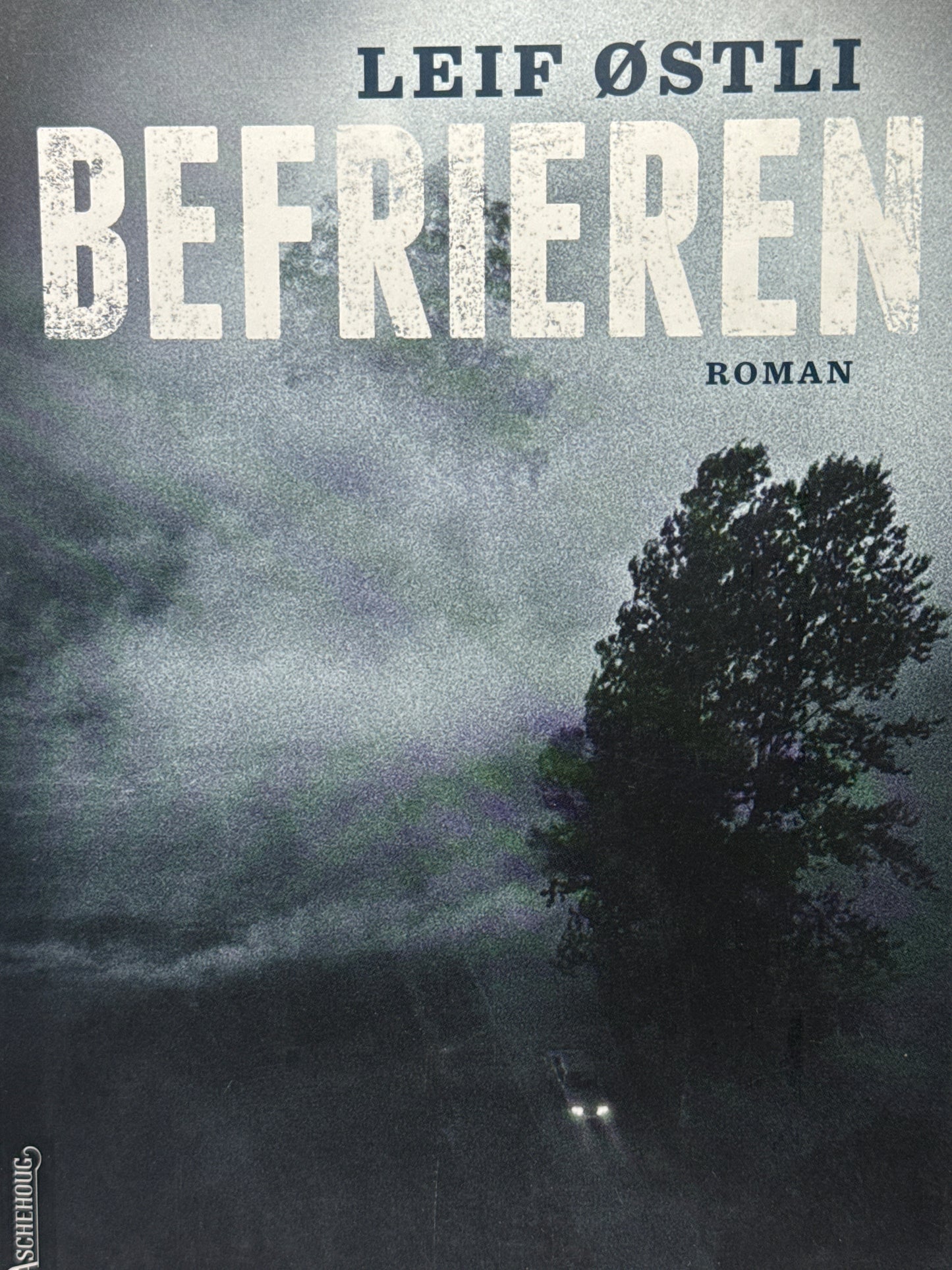 Befrieren - Innbundet