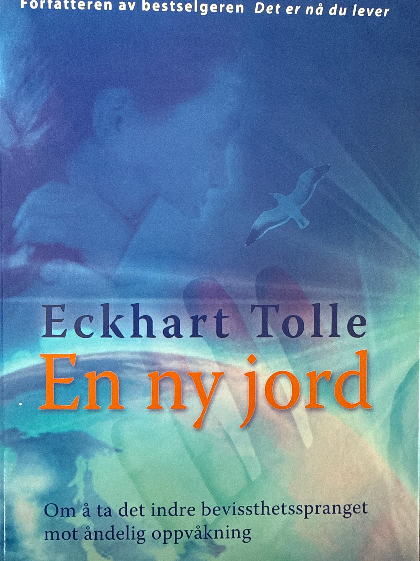 En ny jord - Innbundet