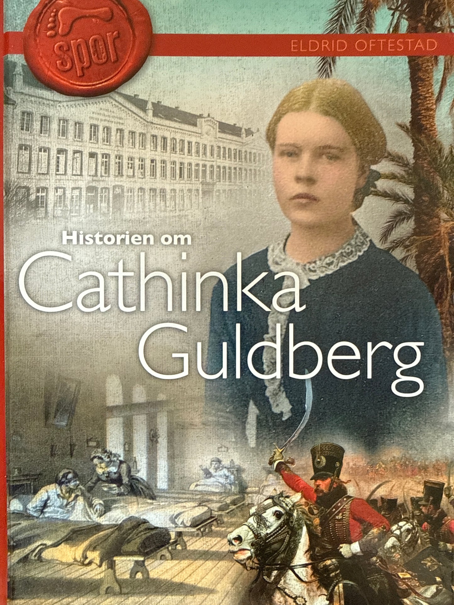 Historien om Cathinka Guldberg - Innbundet