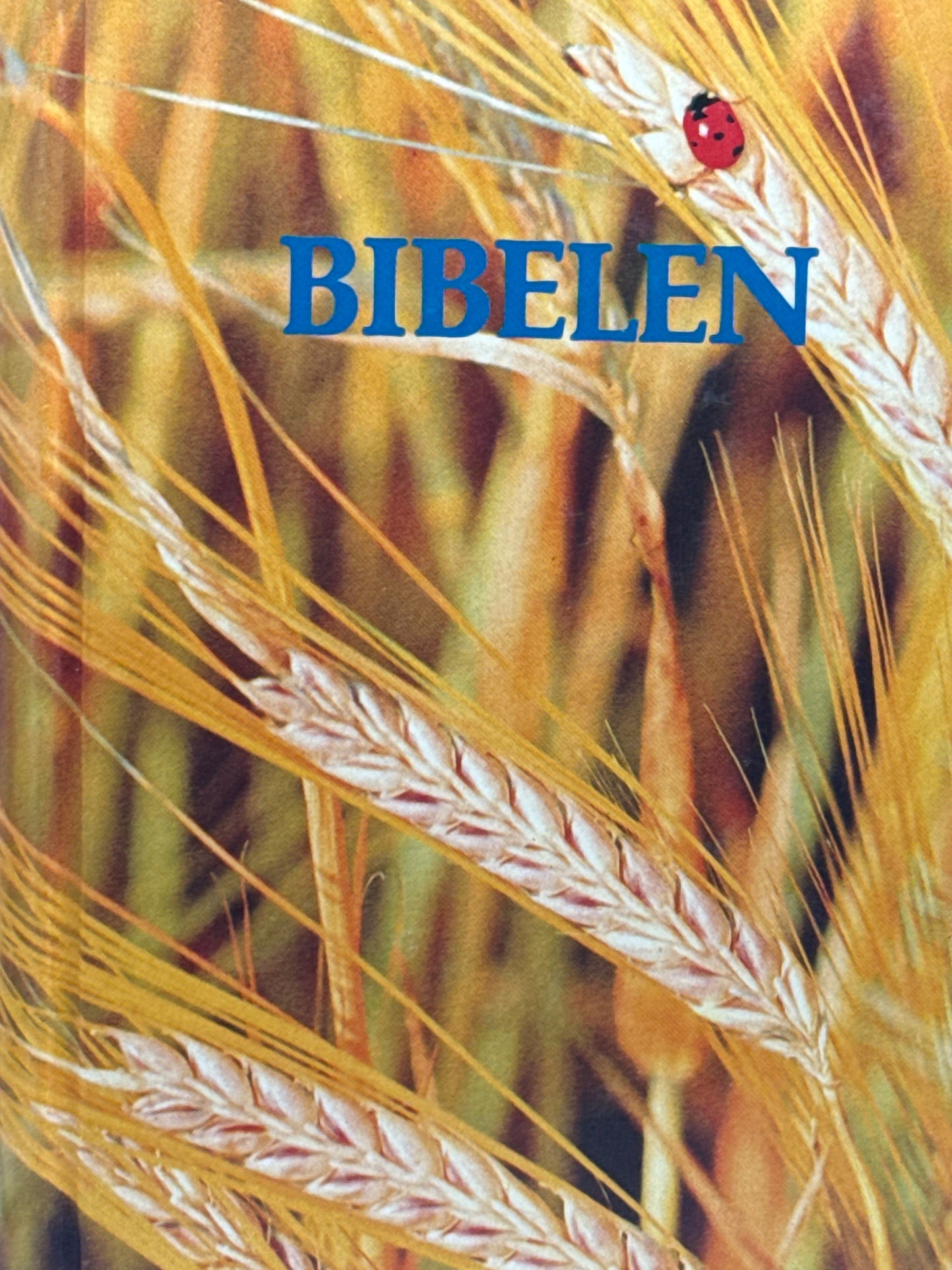 Bibelen - Innbundet