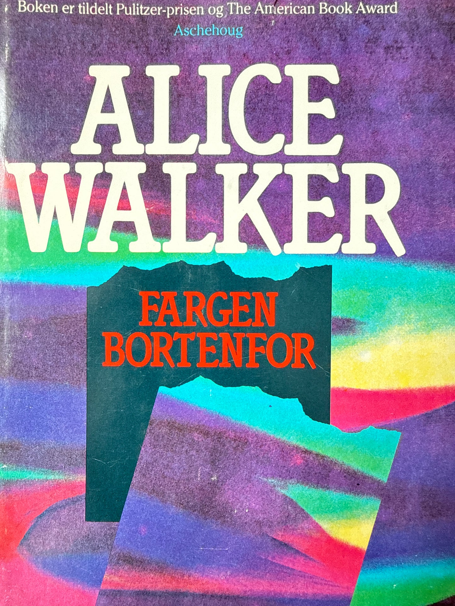 Fargen bortenfor - Innbundet