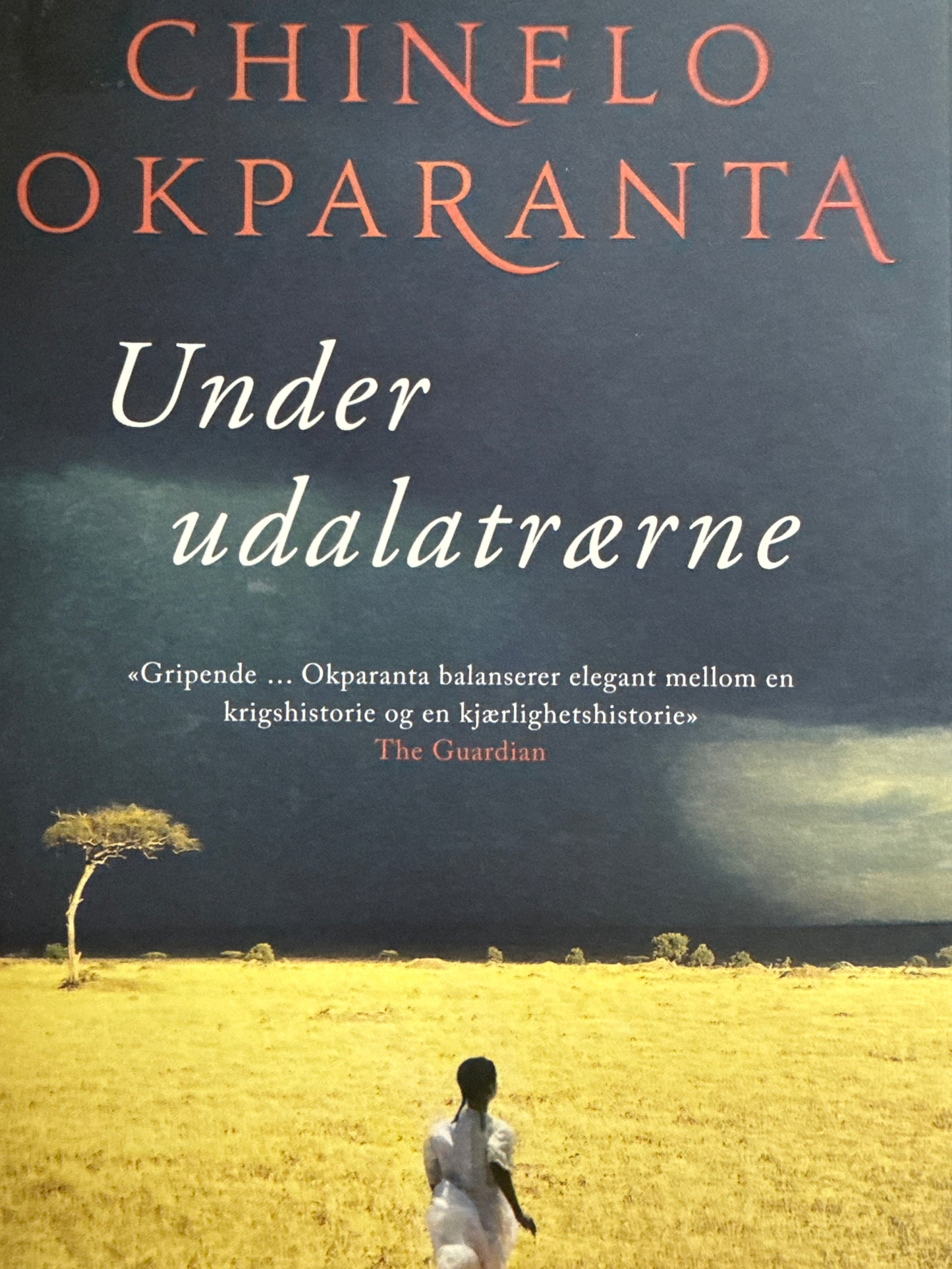 Under udalatrærne - Innbundet