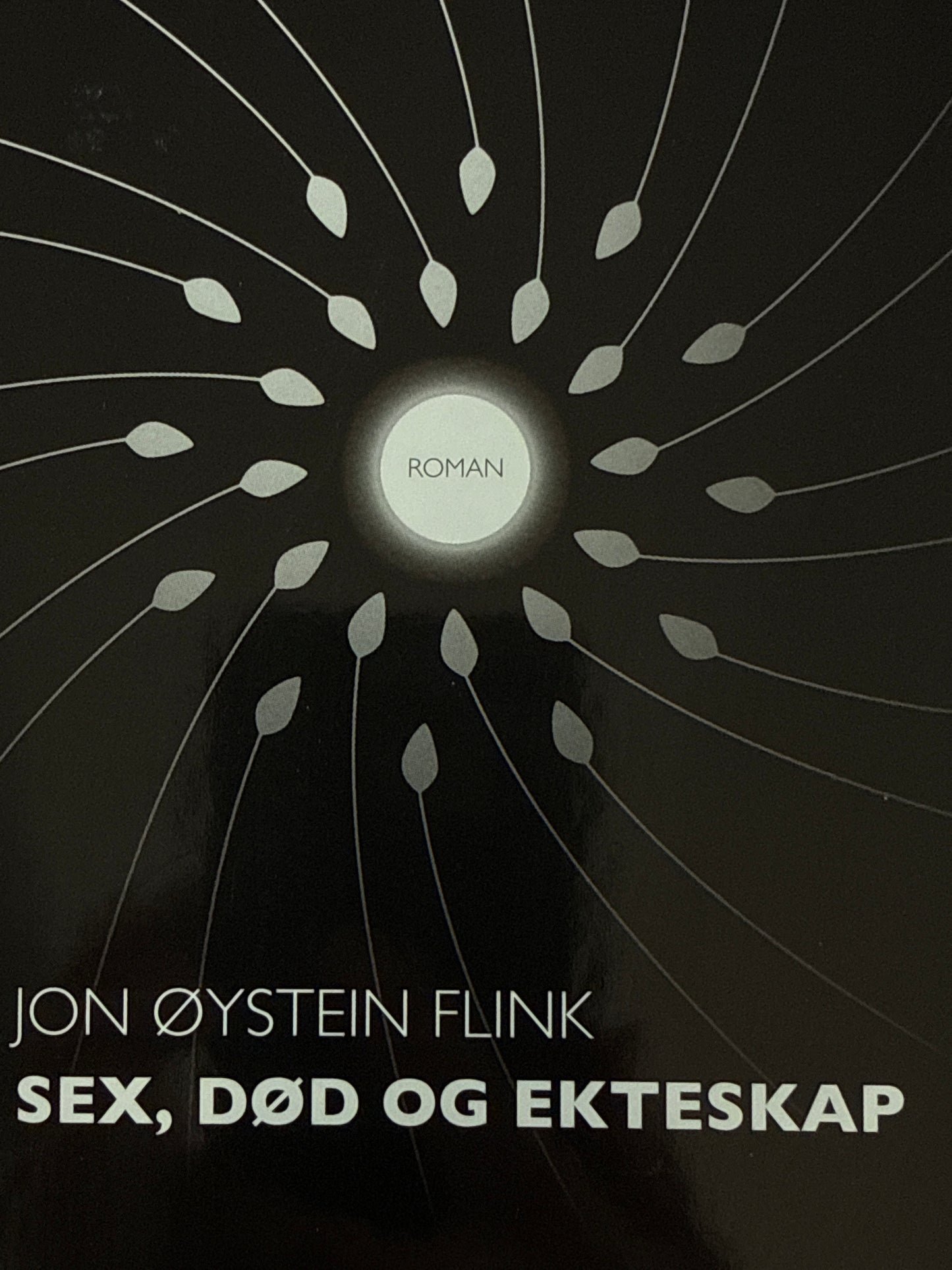 Sex, død og ekteskap - Innbundet