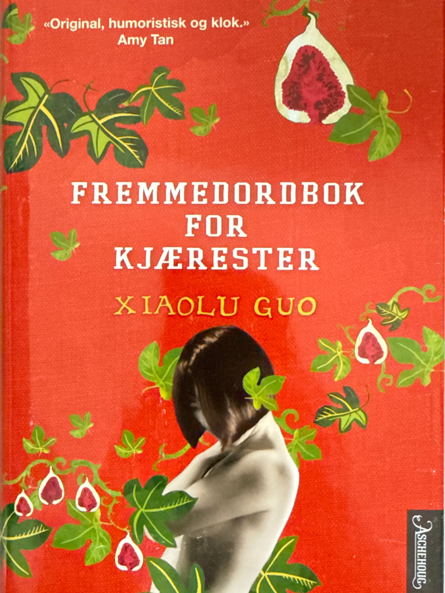 Fremmedordbok for kjærester - Innbundet