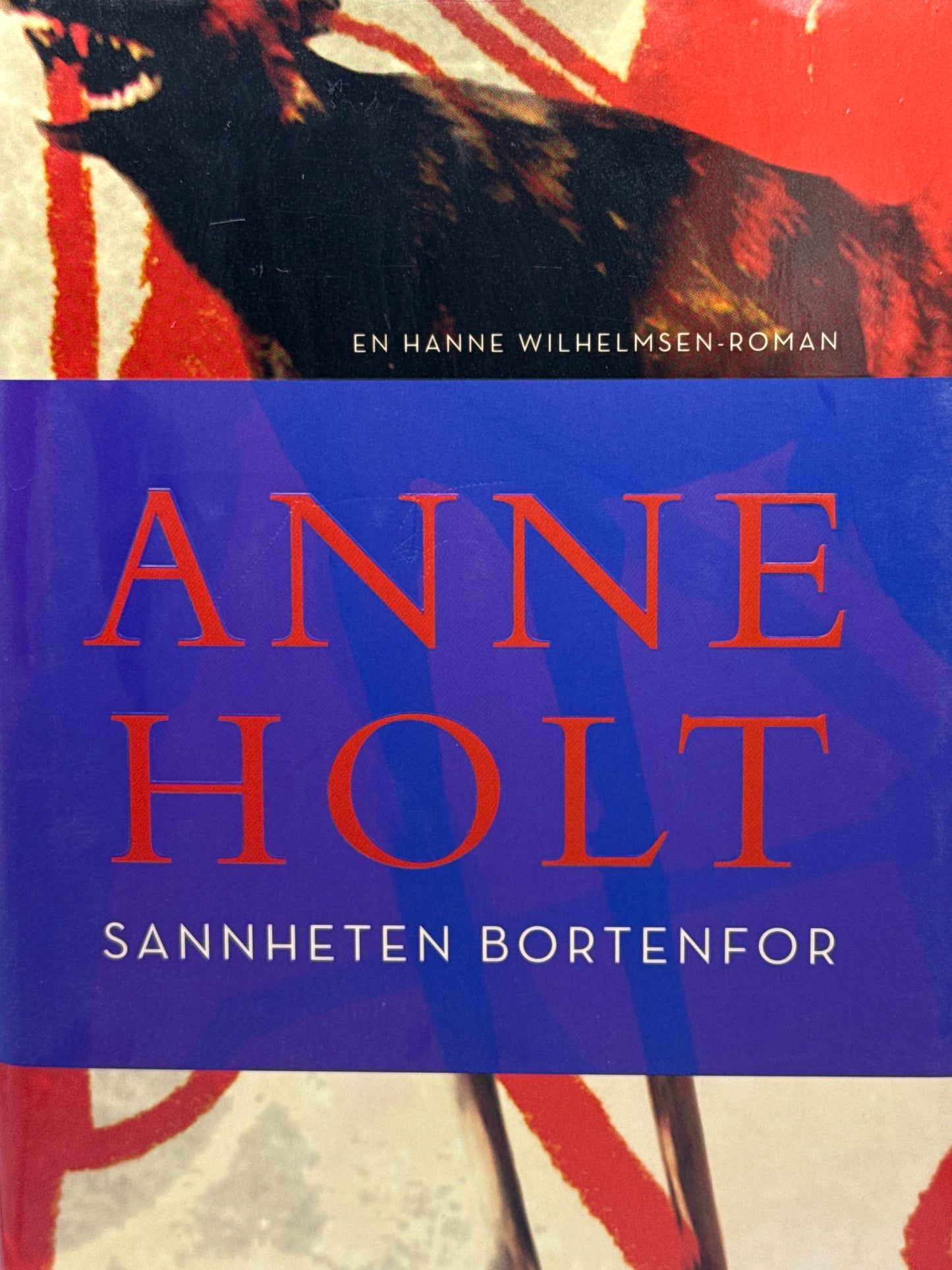 Sannheten bortenfor - Innbundet