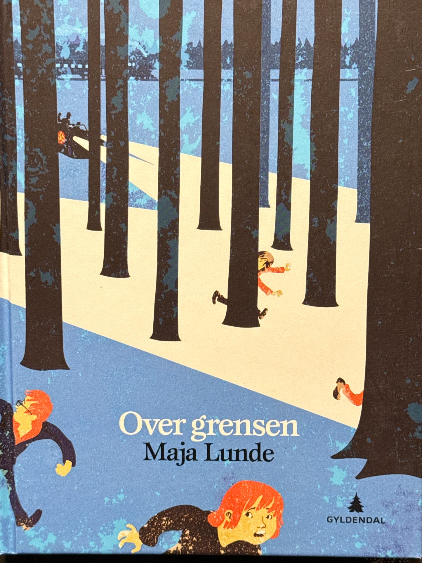 Over grensen - Innbundet